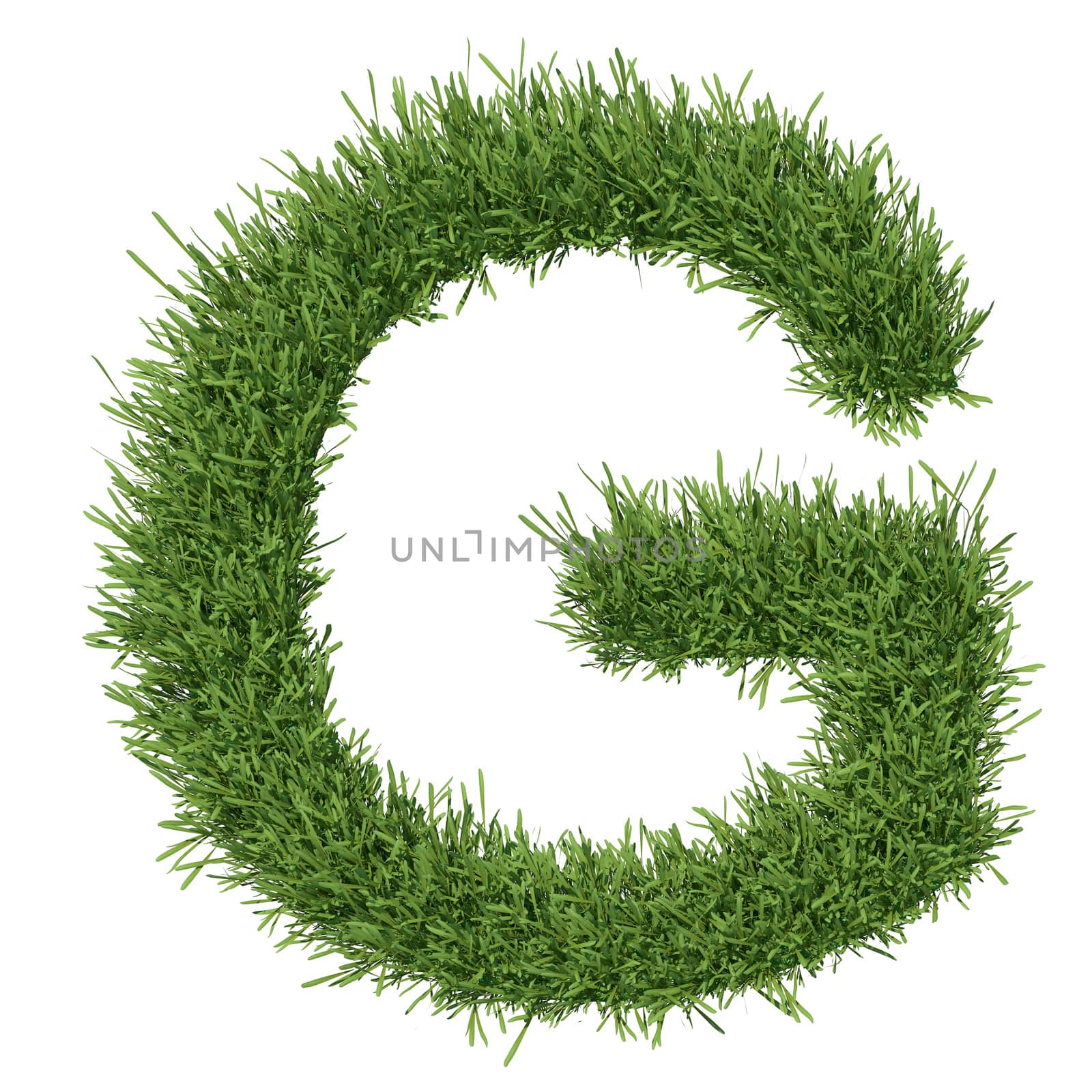 Letter of the alphabet made ​​from grass by cherezoff