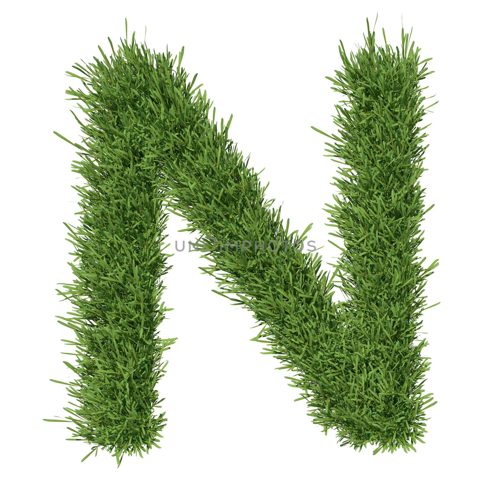 Letter of the alphabet made ​​from grass by cherezoff