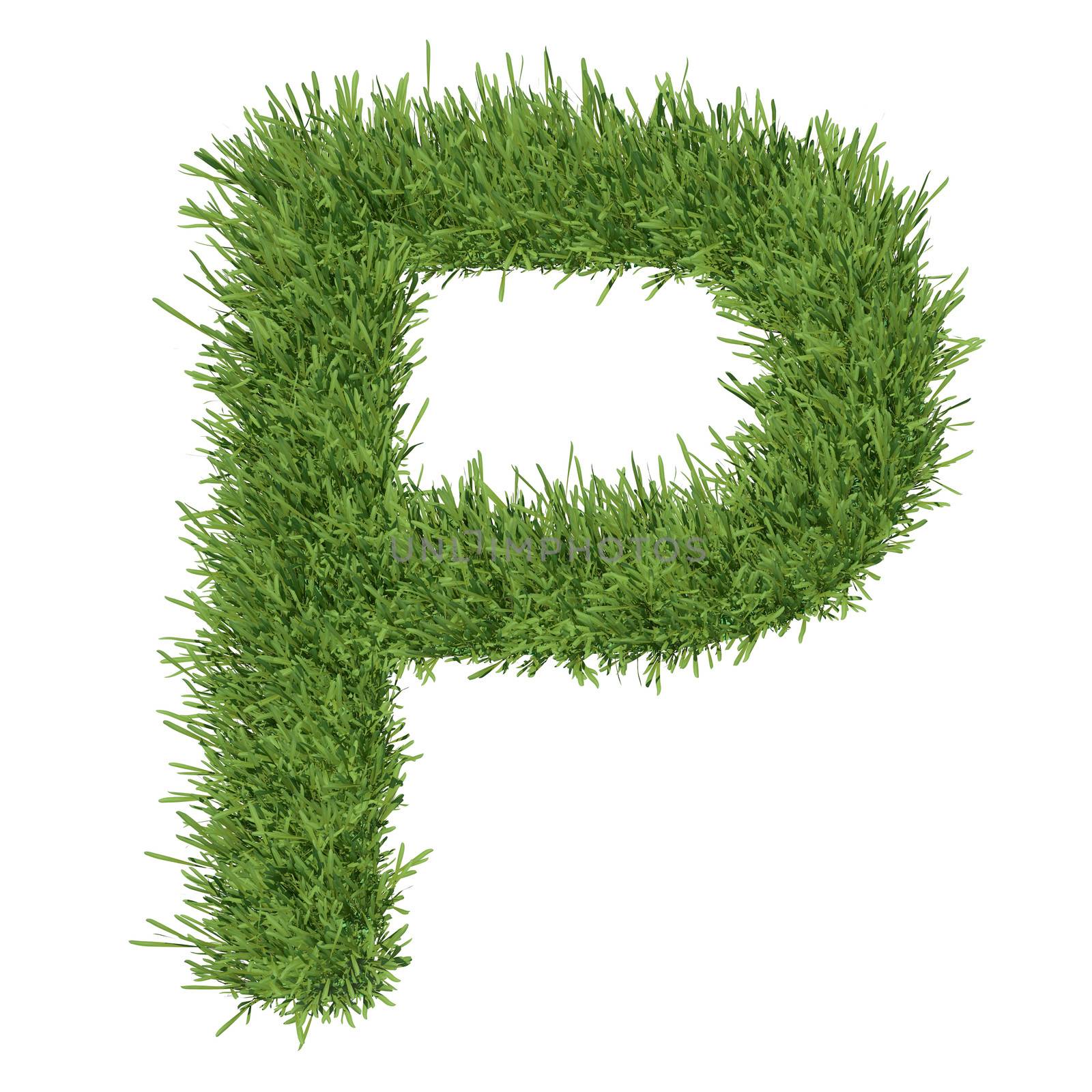 Letter of the alphabet made ​​from grass by cherezoff