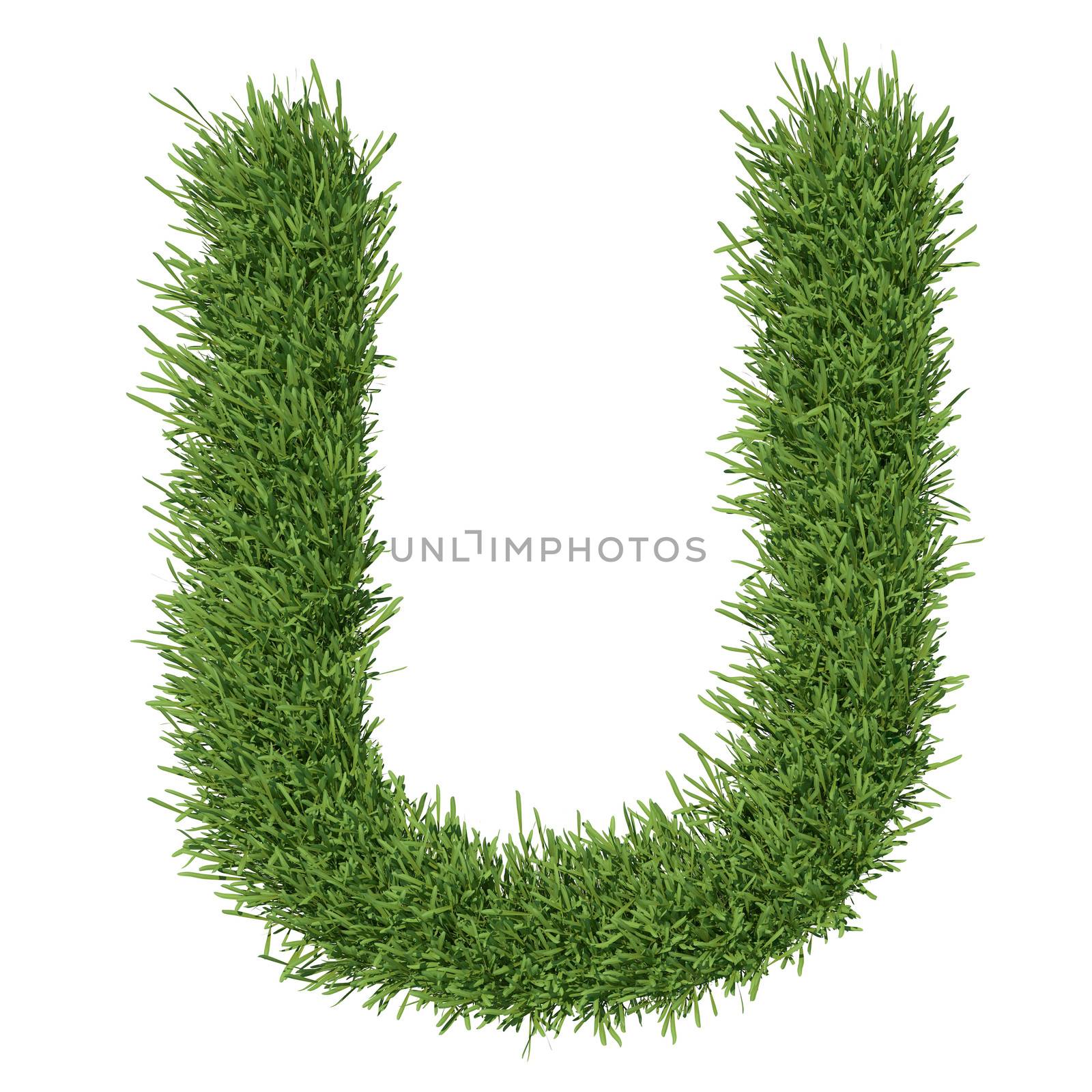 Letter of the alphabet made from grass. Isolated render on a white background