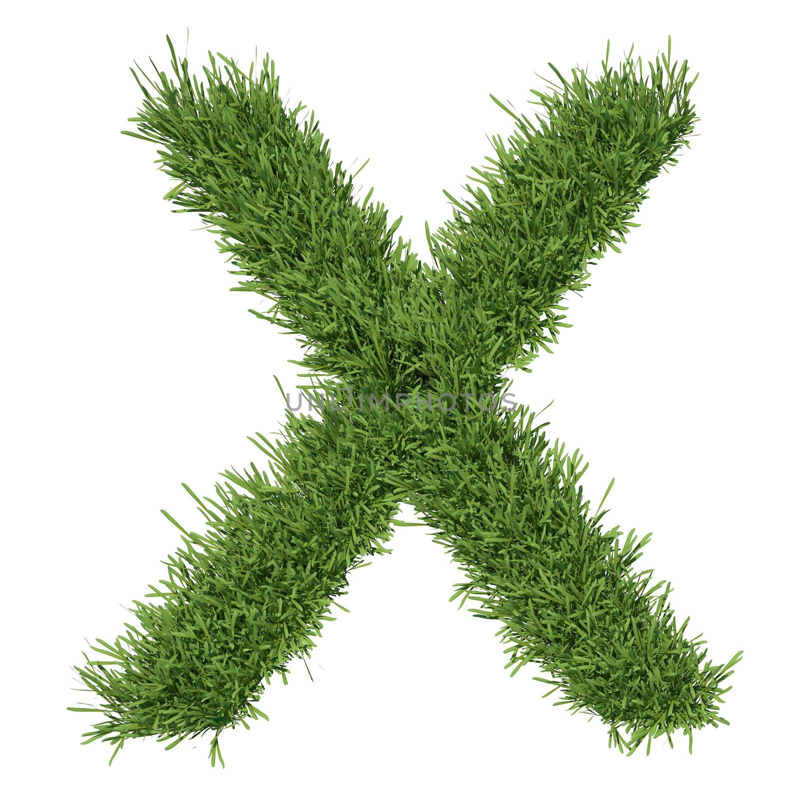 Letter of the alphabet made from grass. Isolated render on a white background