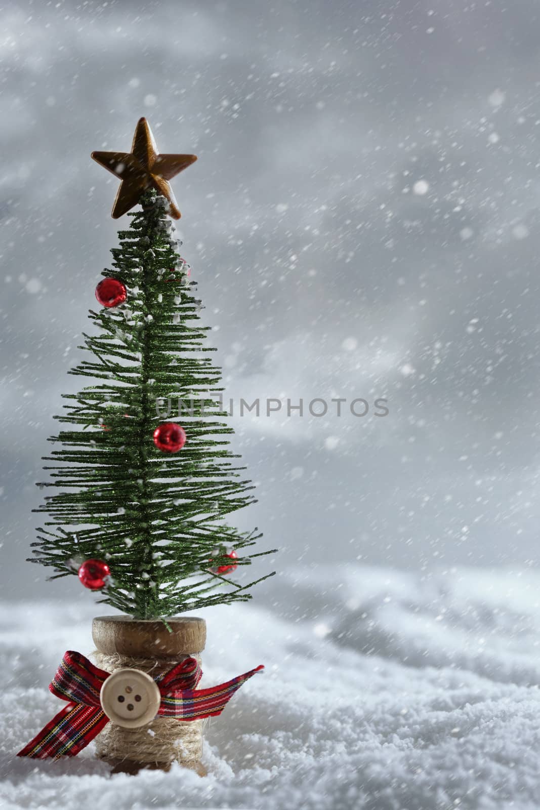 Little tree with snowy background