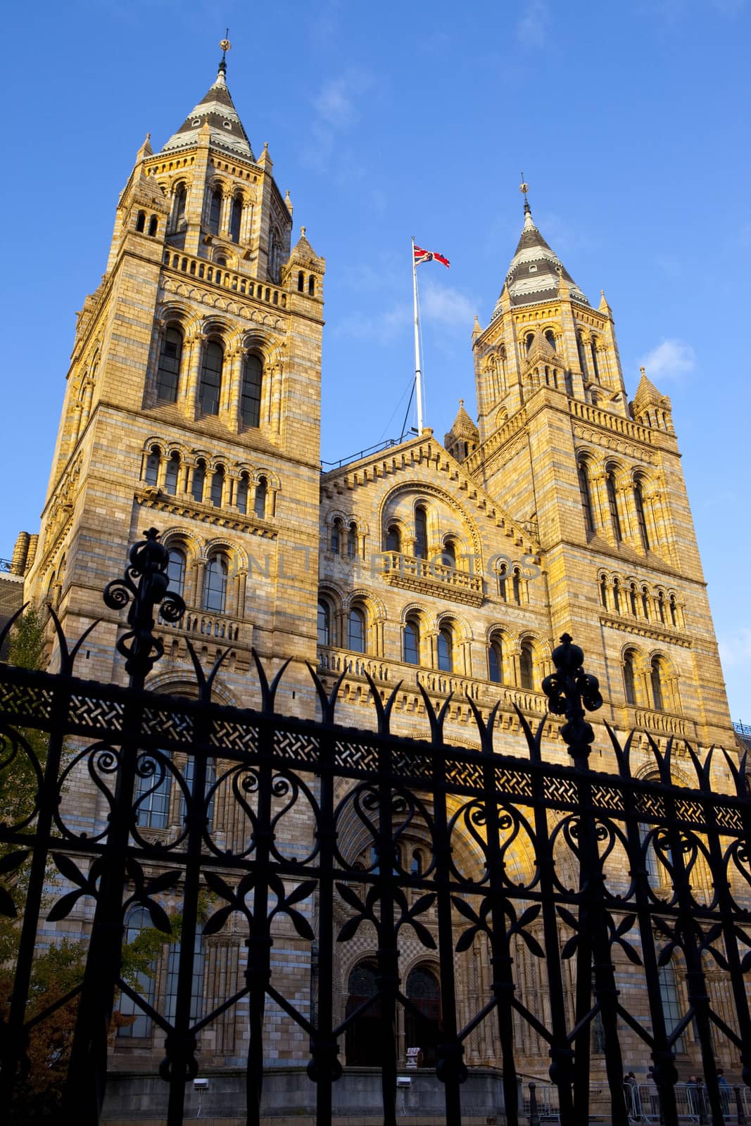 Natural History Museum in London by chrisdorney