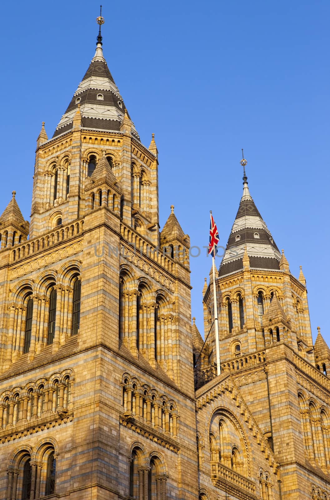 The impressive facade of the Natural History Museum in London.