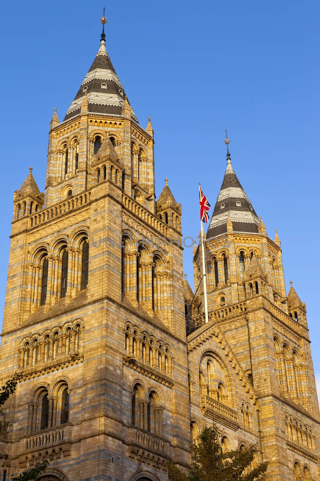 Natural History Museum in London by chrisdorney