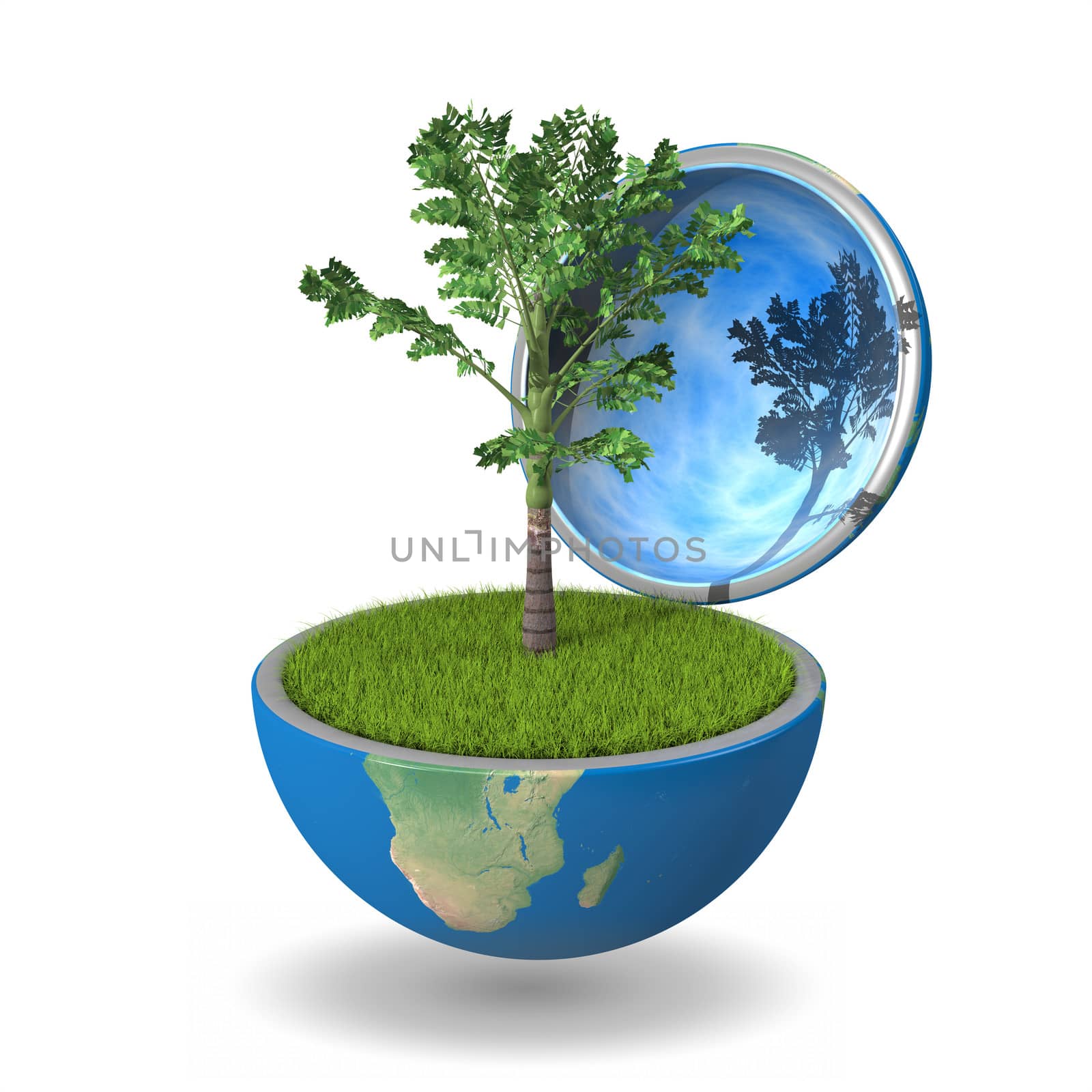Palm tree growing inside opened planet Earth, isolated on white background, concept of ecology. Elements of this image furnished by NASA