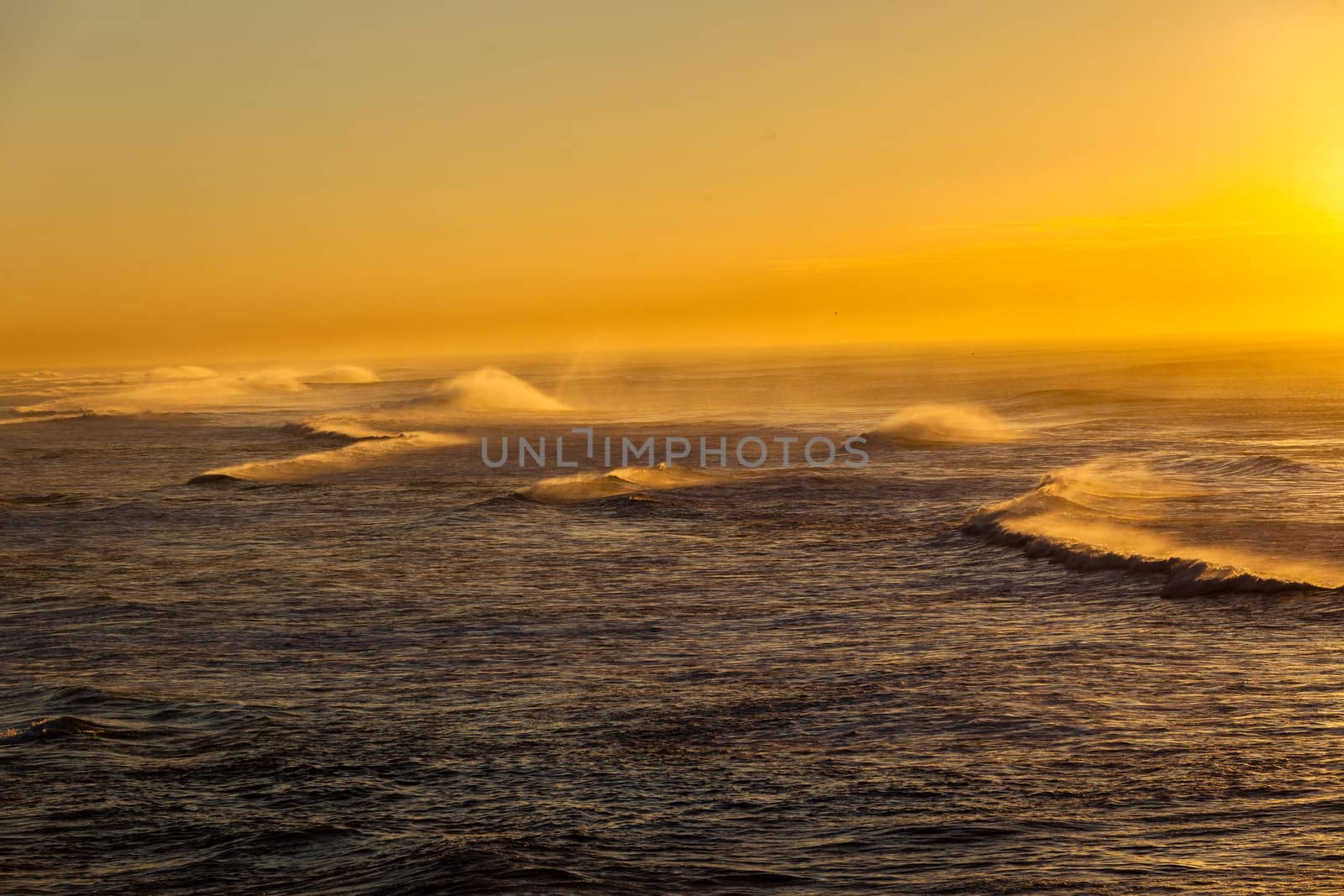 Ocean waves breaking white water in morning sunlight colors