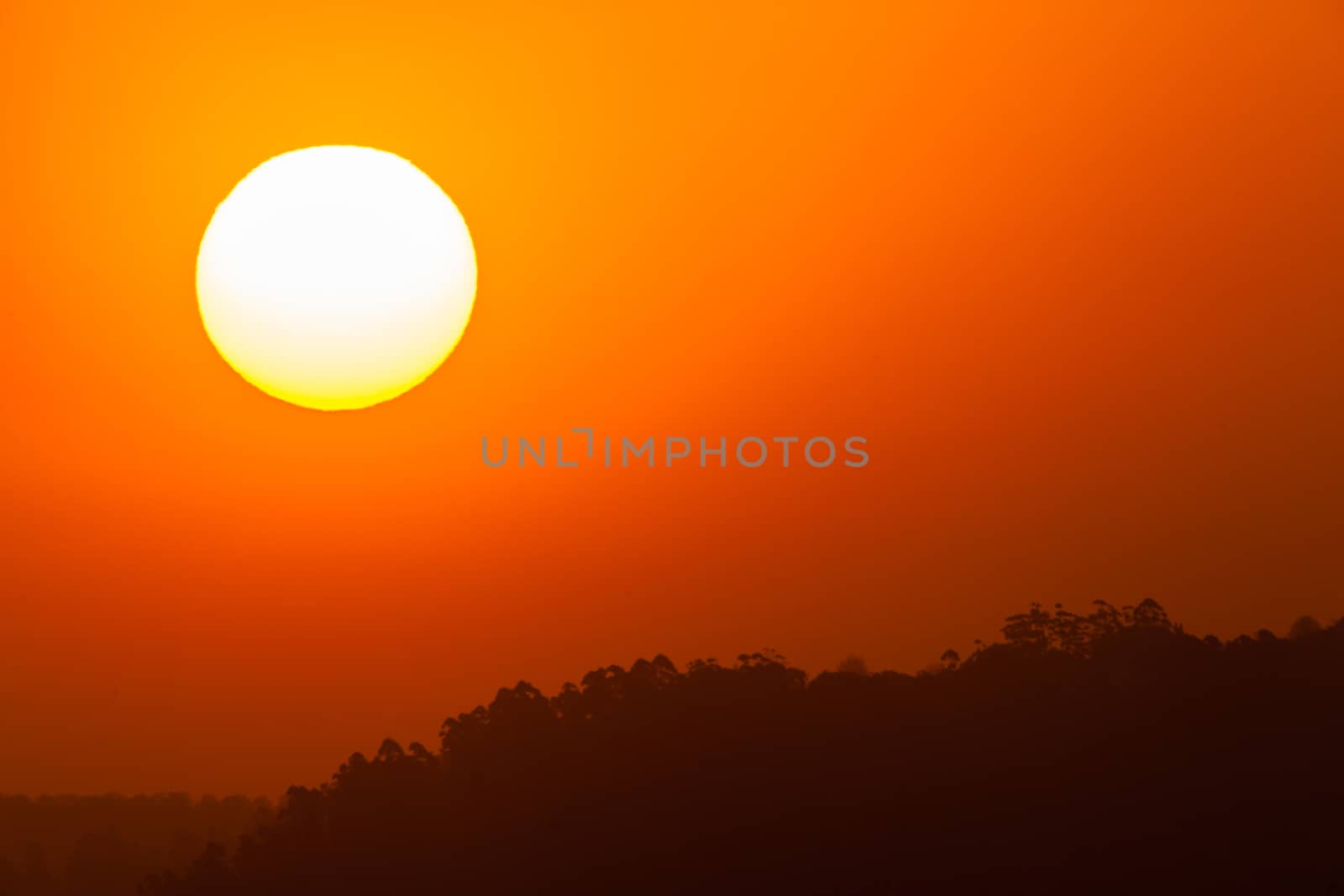 Sun setting over tree terrain landscape at days end.