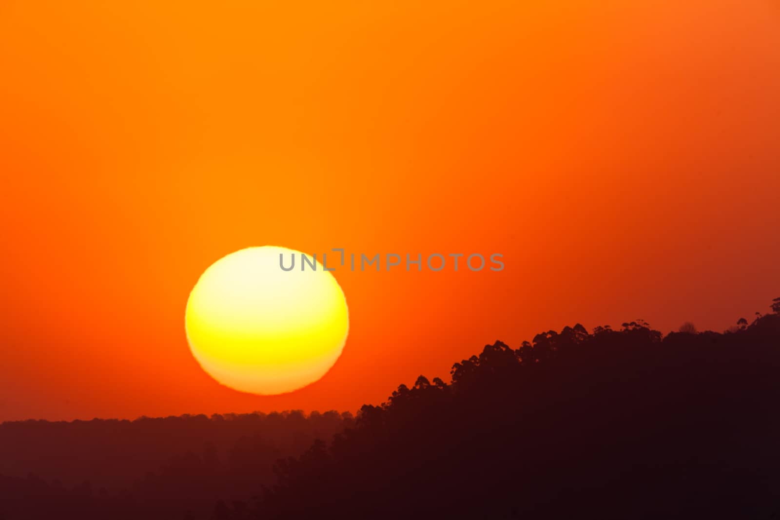 Sun setting over tree landscape terrain.