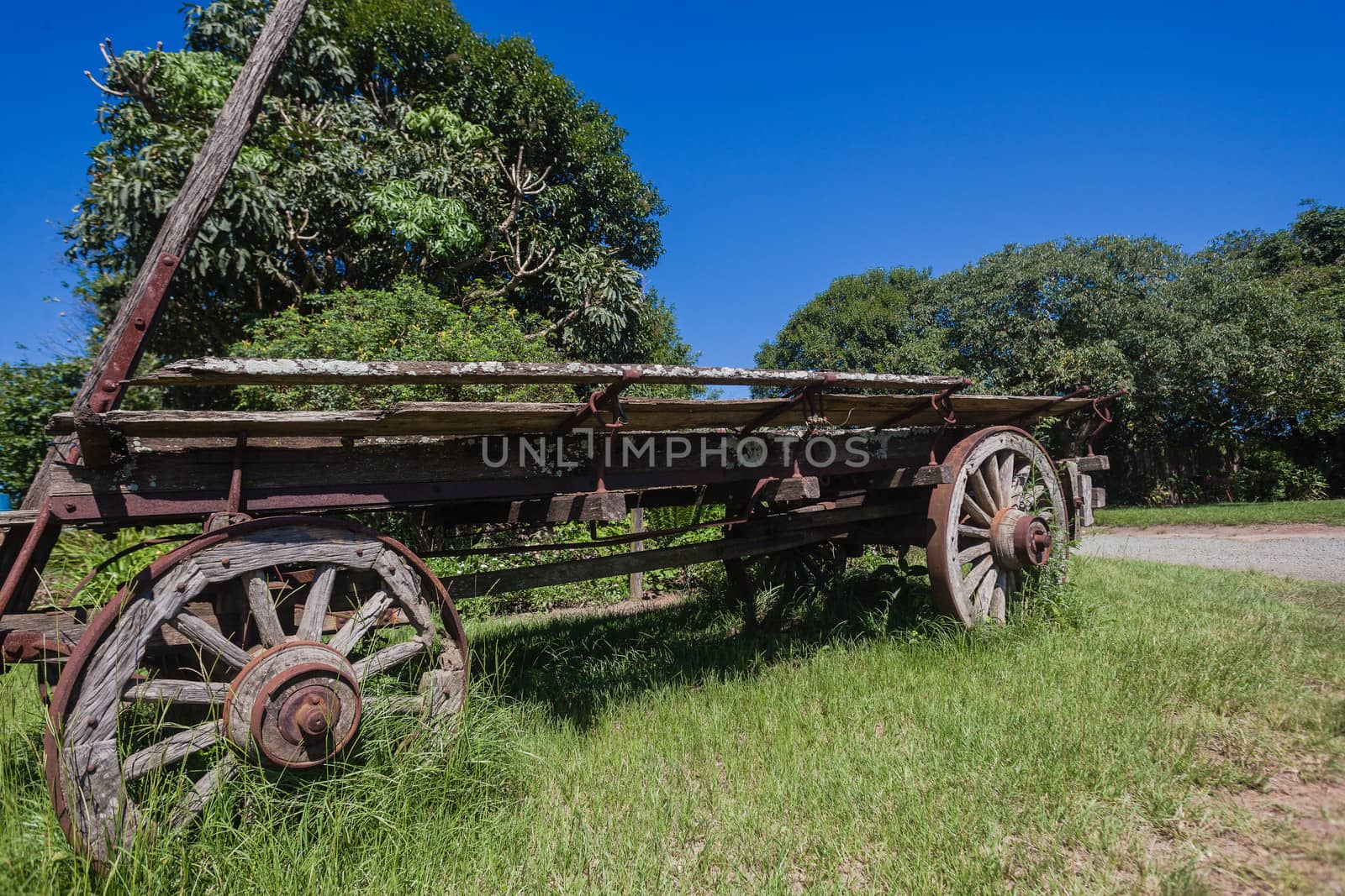 Ox Wagon Settlers History by ChrisVanLennepPhoto