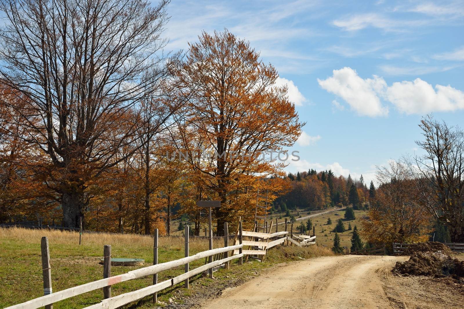 Colorful Autumn Trees with Country Road in Mountain