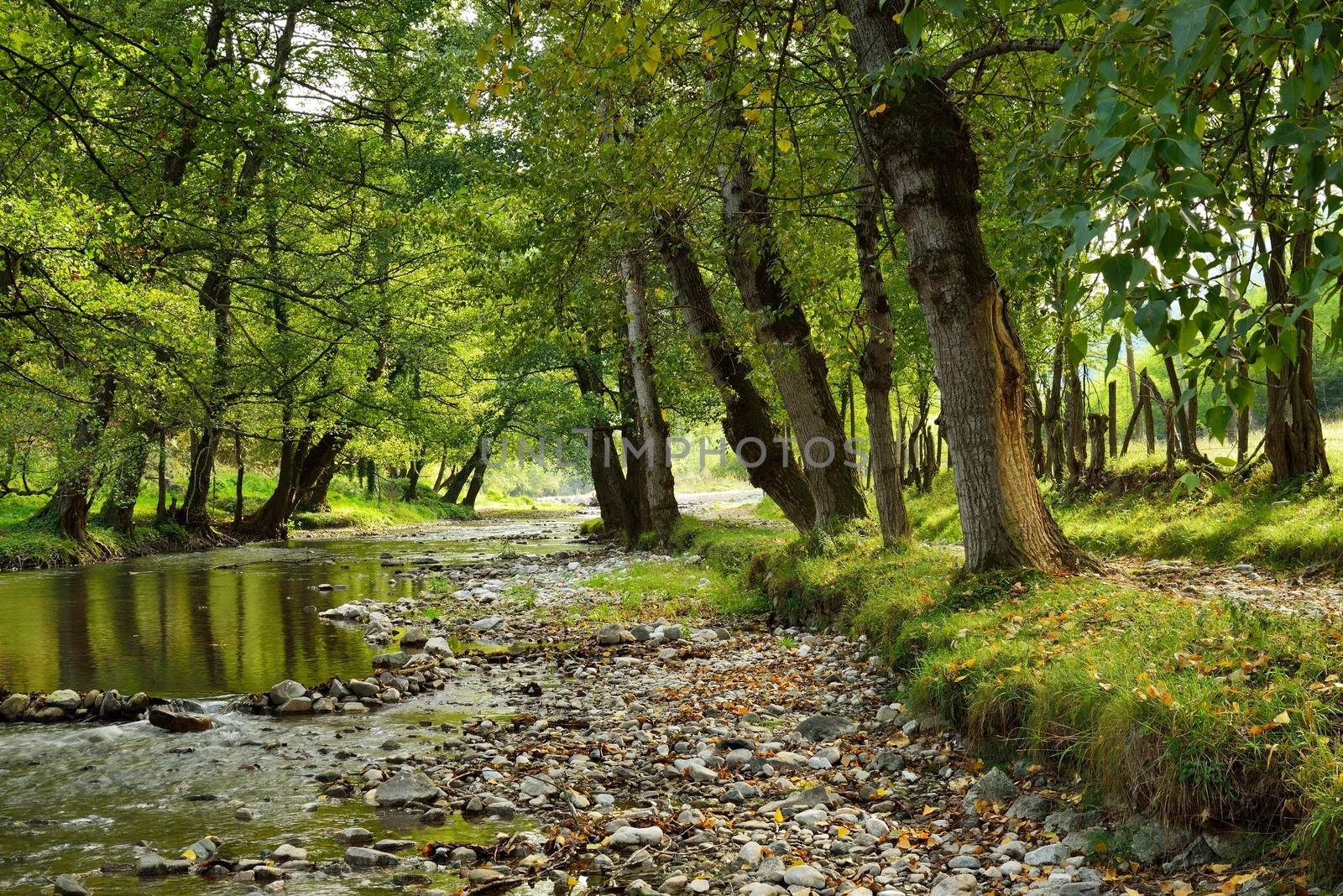 Small River in Countryside by zagart36