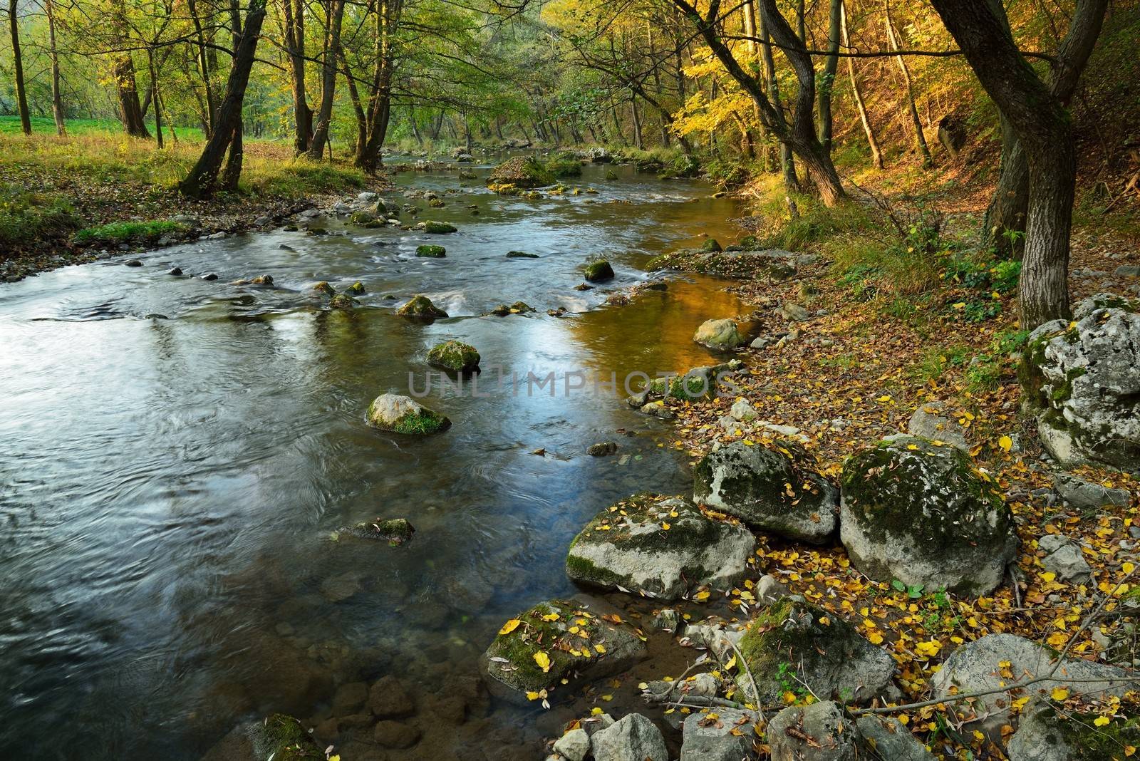 River in Autumn Forest by zagart36
