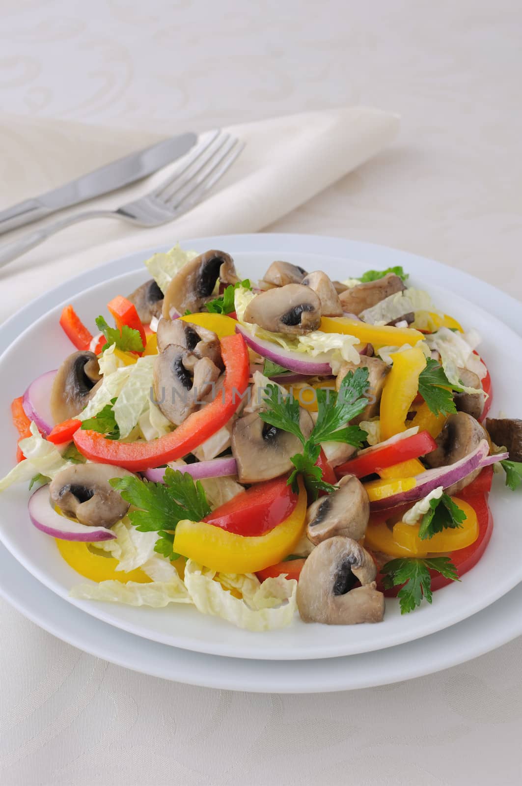Vegetable salad with mushrooms by Apolonia