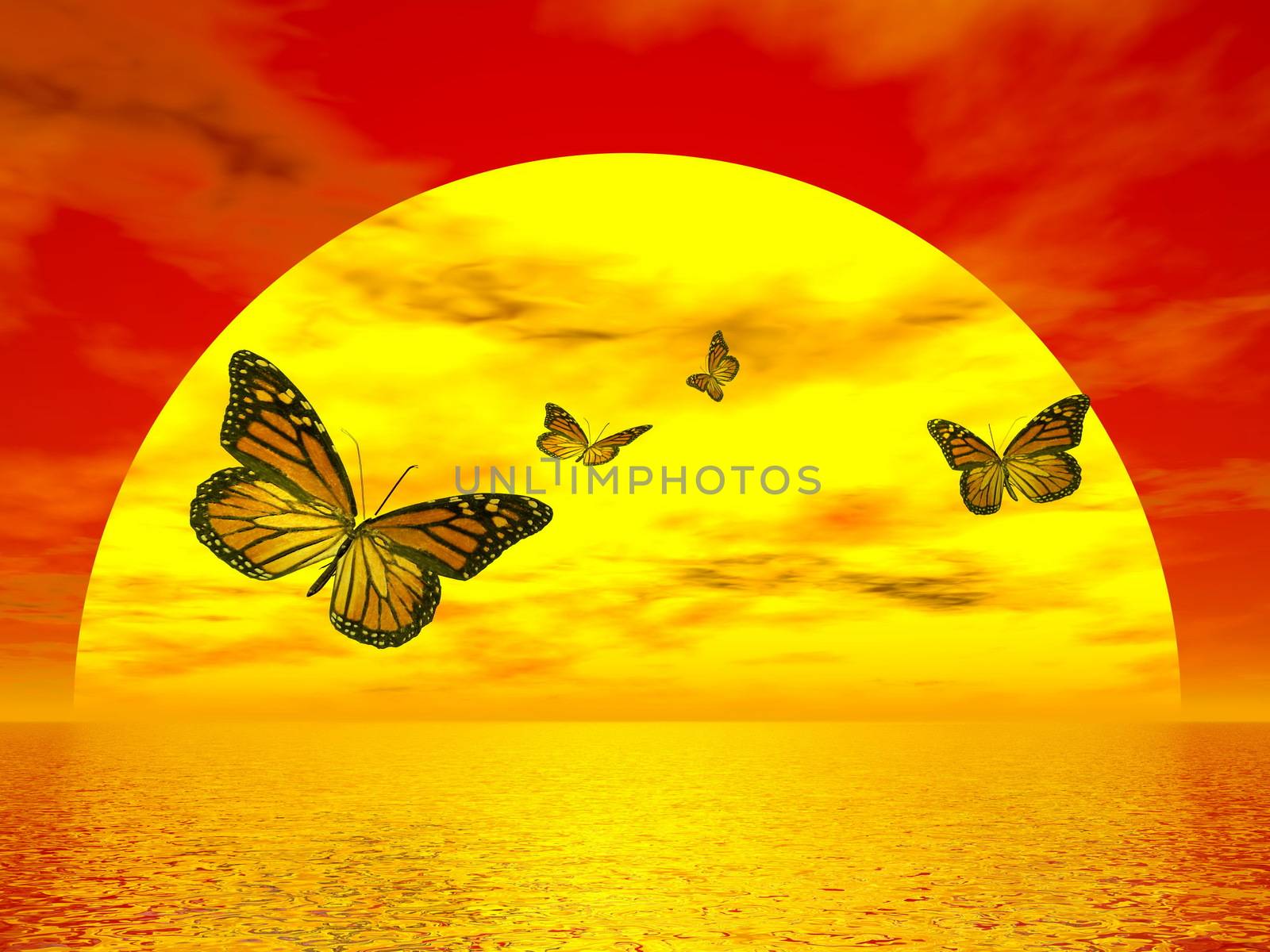 Four beautiful monarch butterflies flying to the sun upon ocean by red sunset