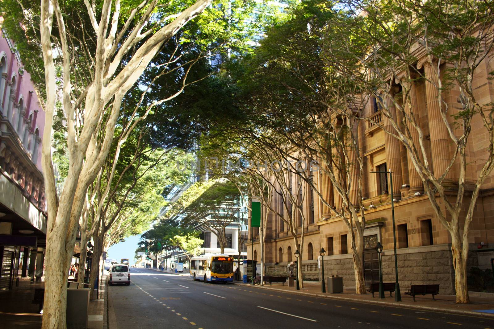 Adelaide Street in Brisbane, Queensland Australia with entrance to Brisbane City Hall.