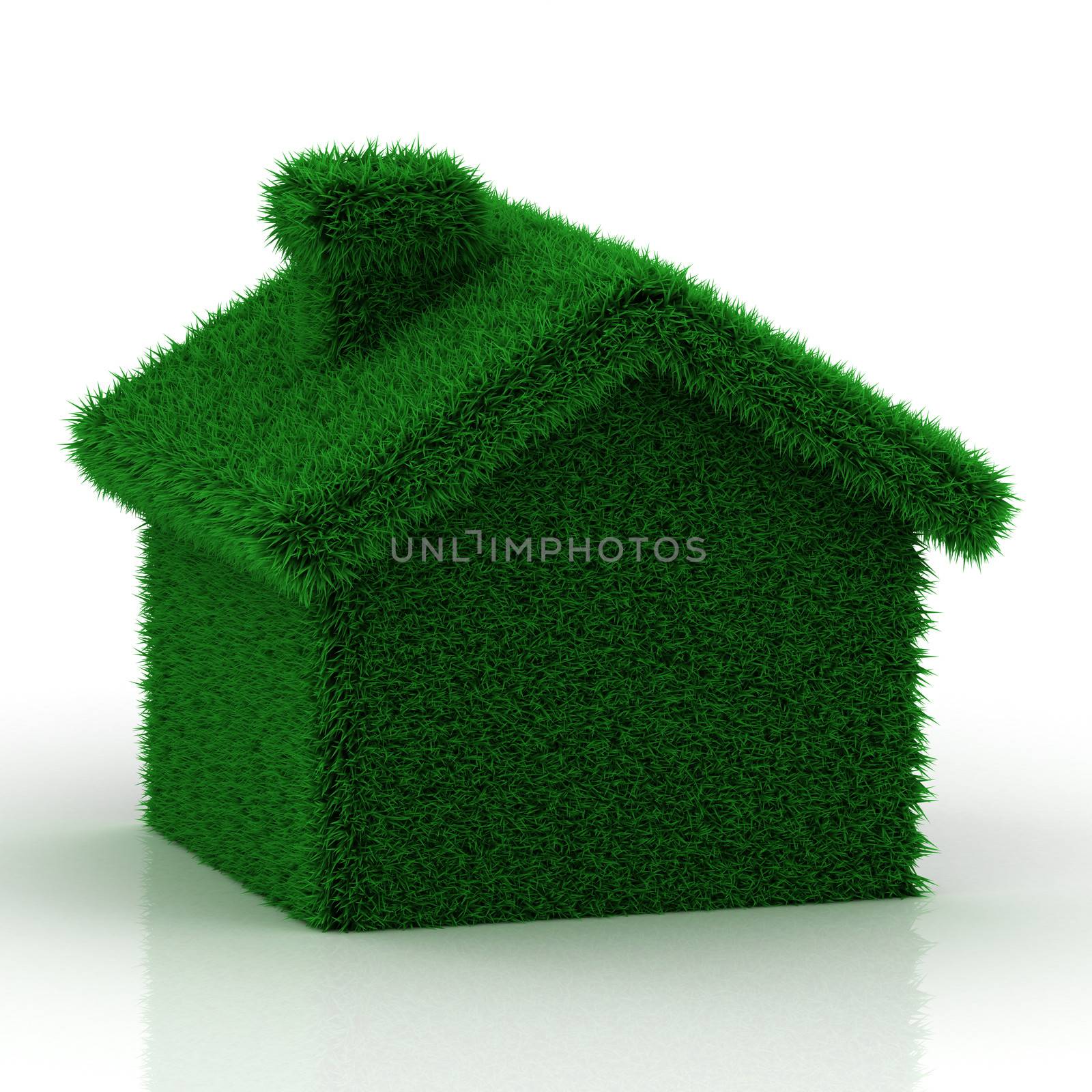 eco grass house on a white background