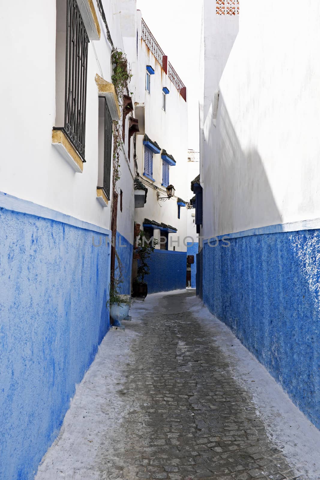 Colorful street of the Kasbah of the Udayas in Rabat, Morocco, A by devy