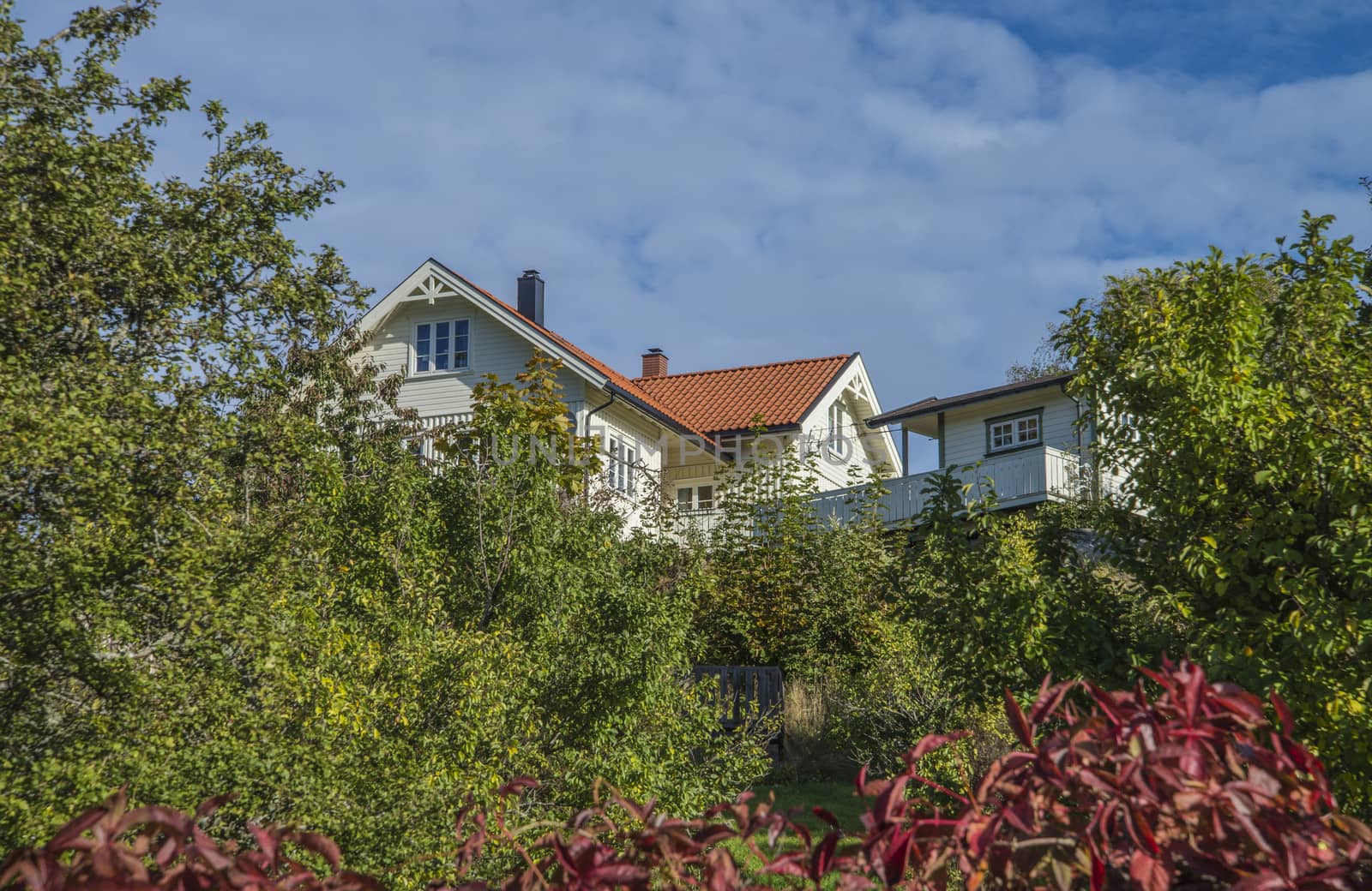 Sponvika is a village in Halden, Norway, and most of the houses are of older origin but well maintained. Image is shot in late September 2013.