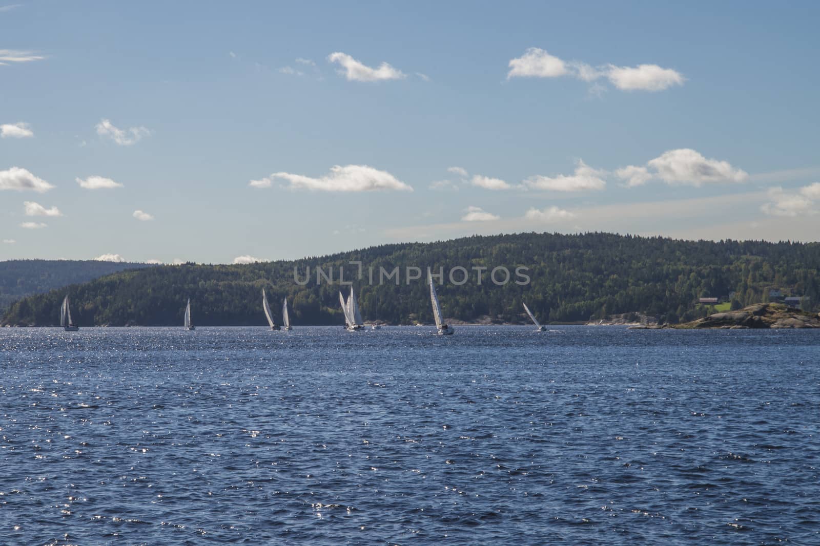 sailing in the bay of iddefjord by steirus