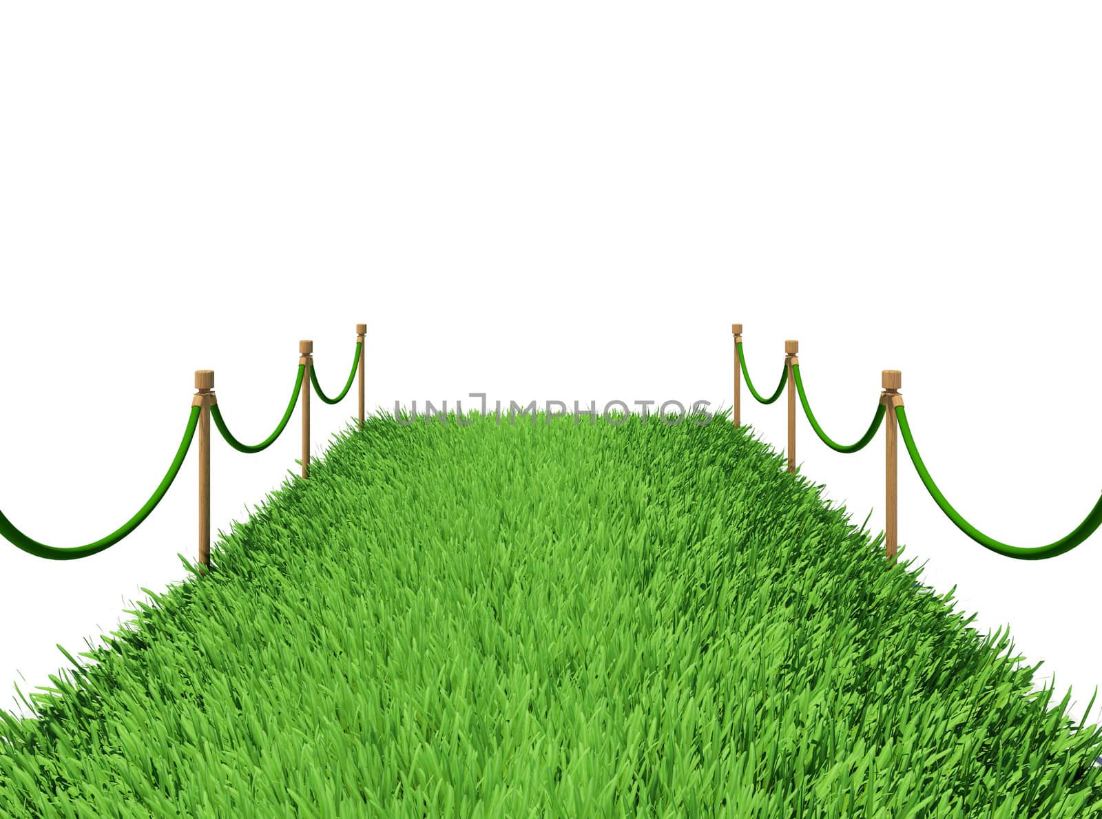 Path of green grass. 3d rendering on white background