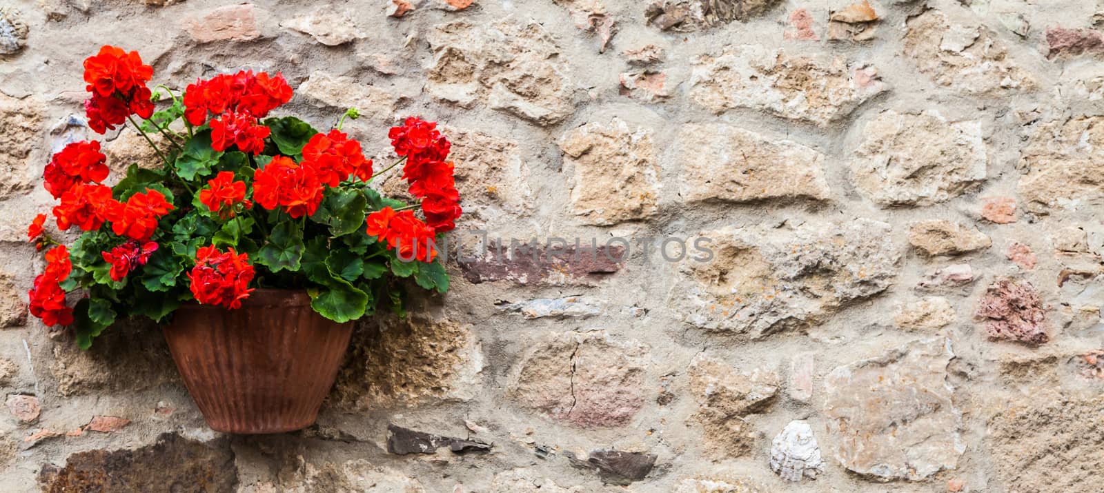 Pienza, Tuscany region, Italy. Old wall with flowers