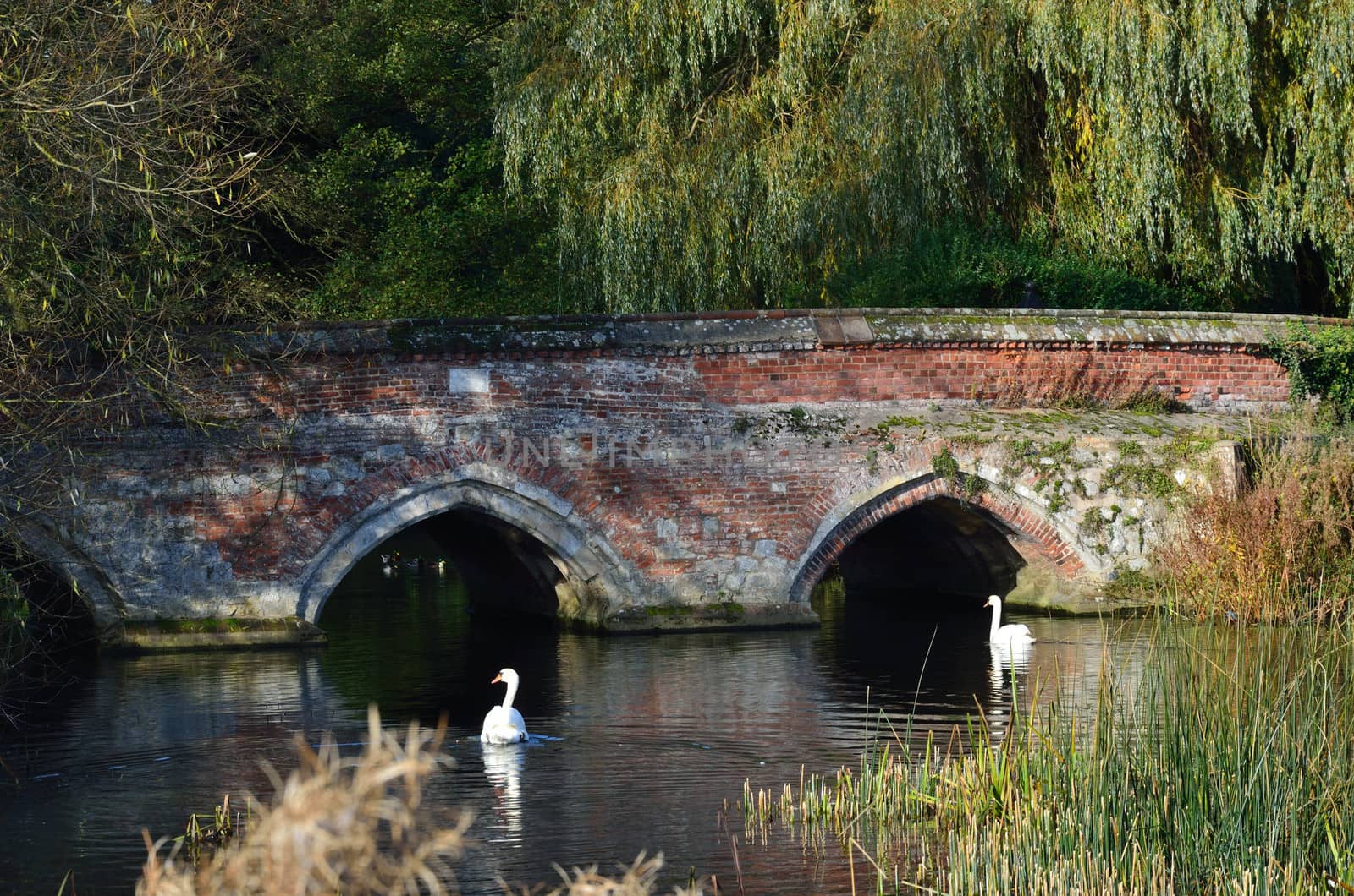 red brick bridge with swans