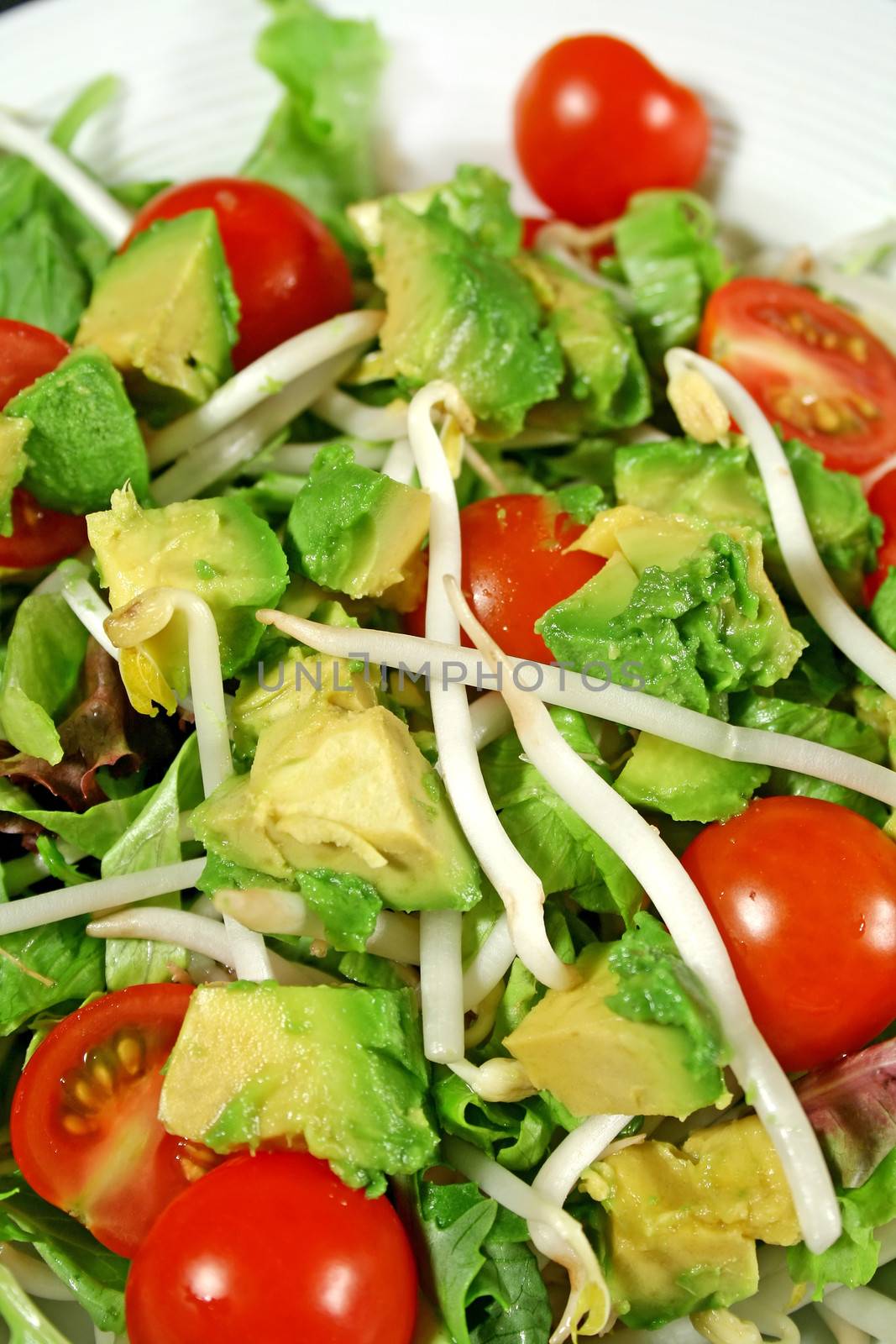 Fresh avocado and bean sprout salad ready to serve.