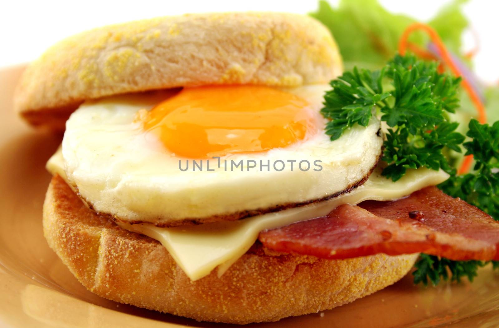 Delicious bacon and egg muffin with cheese ready to serve for breakfast.