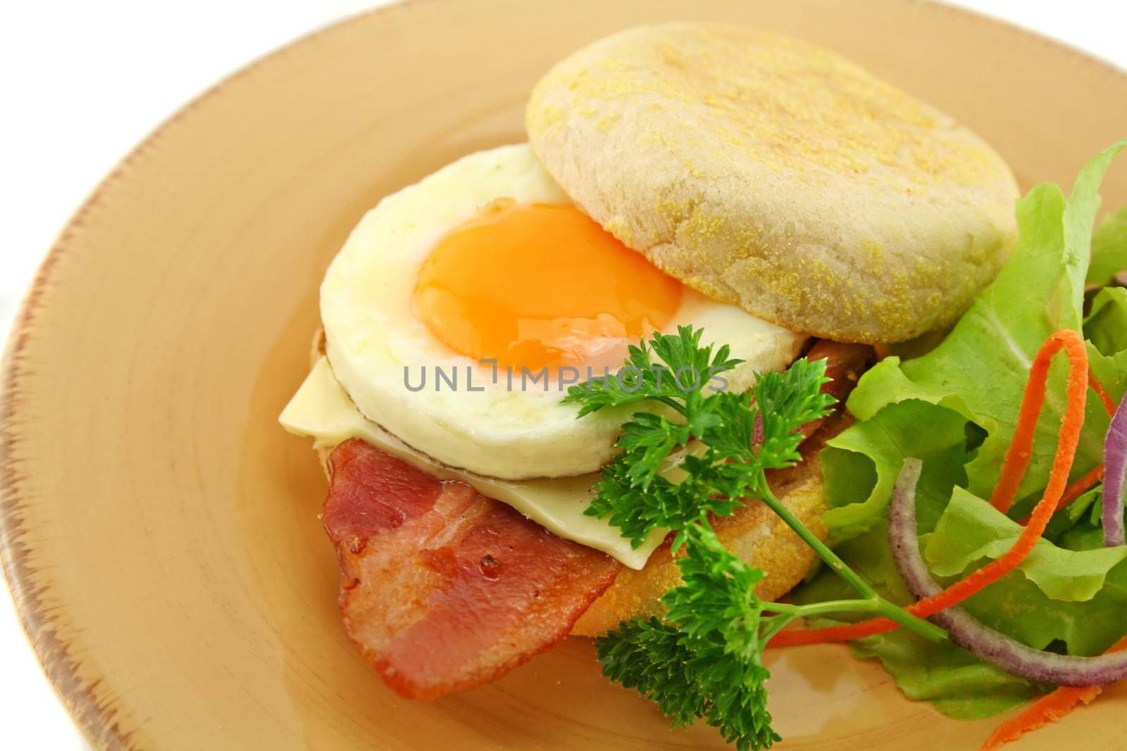 Delicious bacon and egg muffin with cheese ready to serve for breakfast.