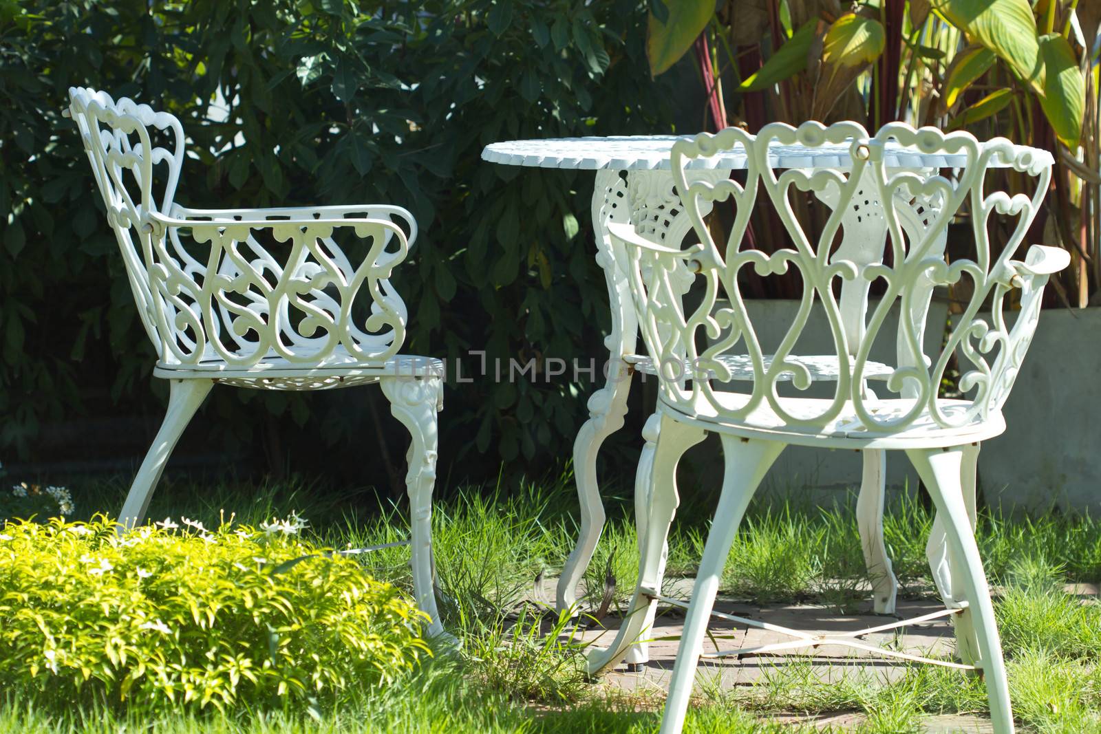 White iron chairs in the green garden.