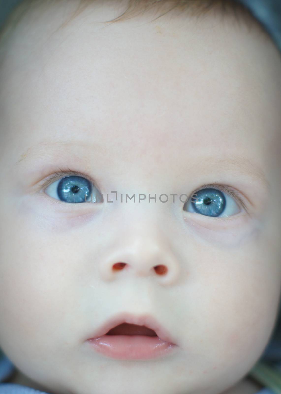 Little boy portrait by Elet