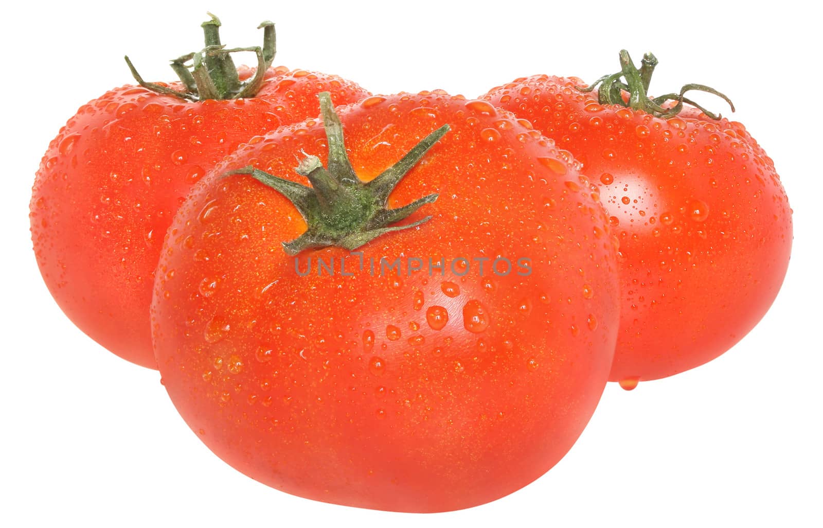 Ripe tomato on a white background.