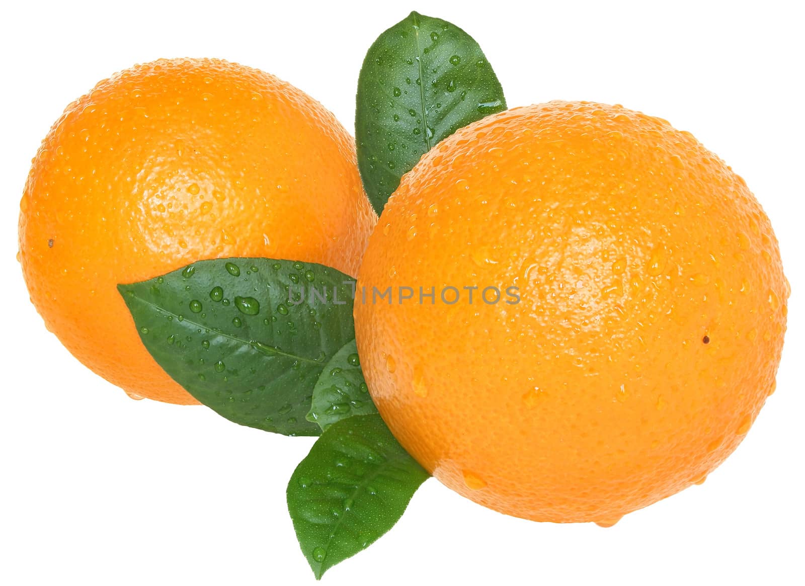 Ripe orange on a white background