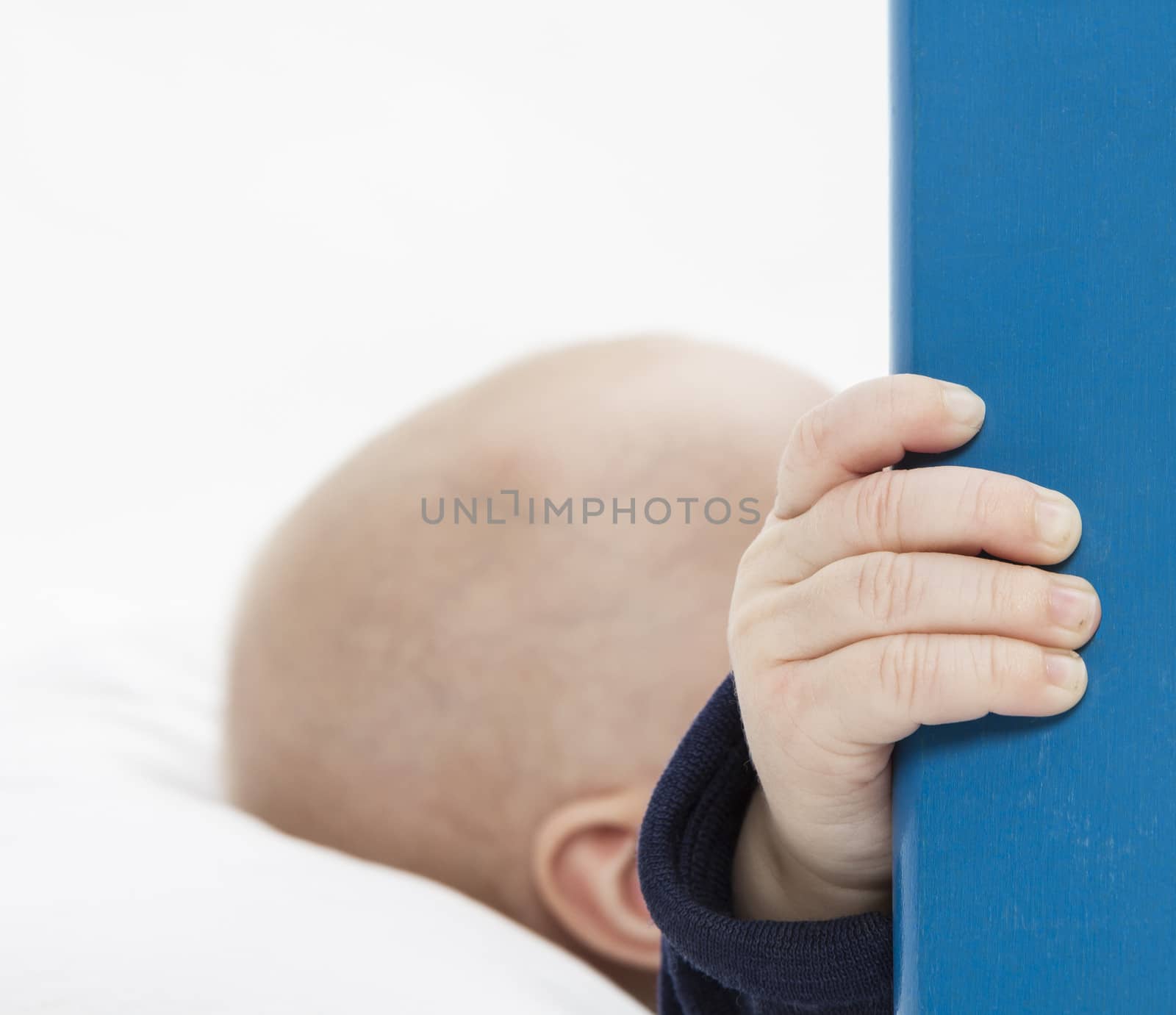 nurslings hand holding blue wooden board in grey background. studio shot