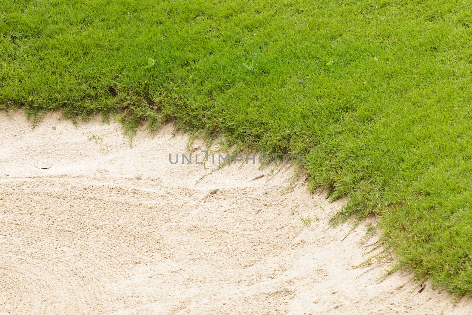 Golf sand trap on the green grass