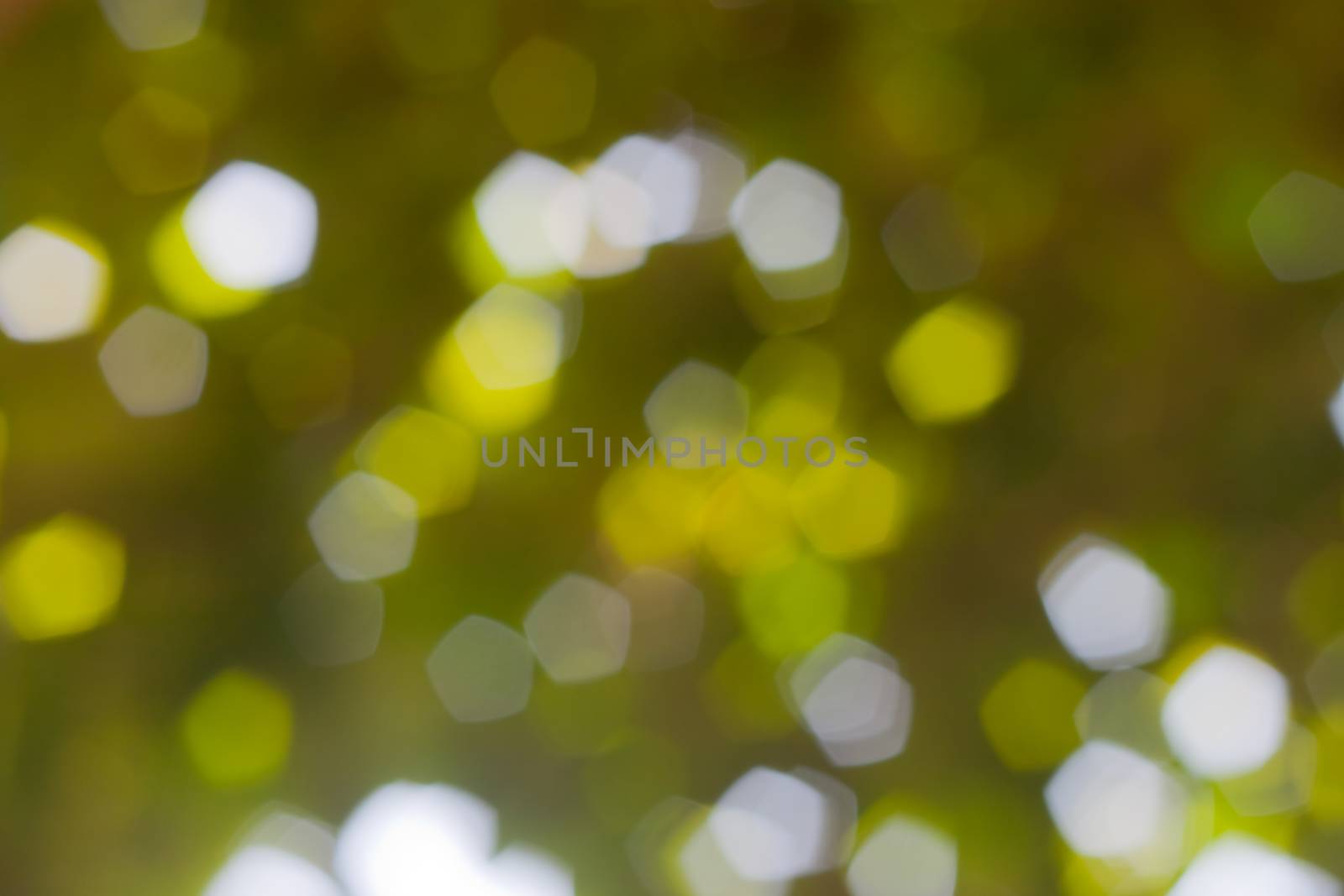 bokeh blurred out of focus background