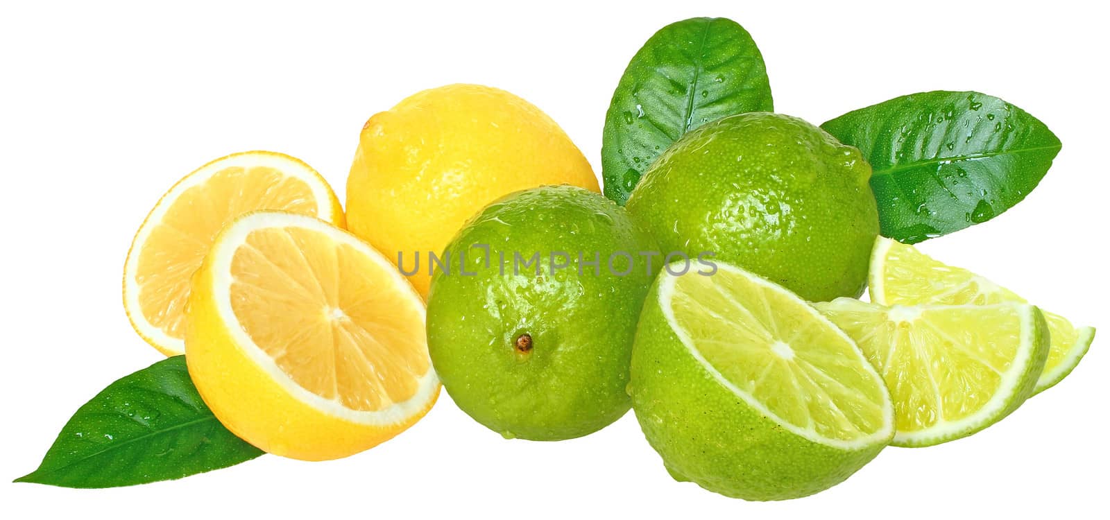 Fresh limes and lemons on a white background.