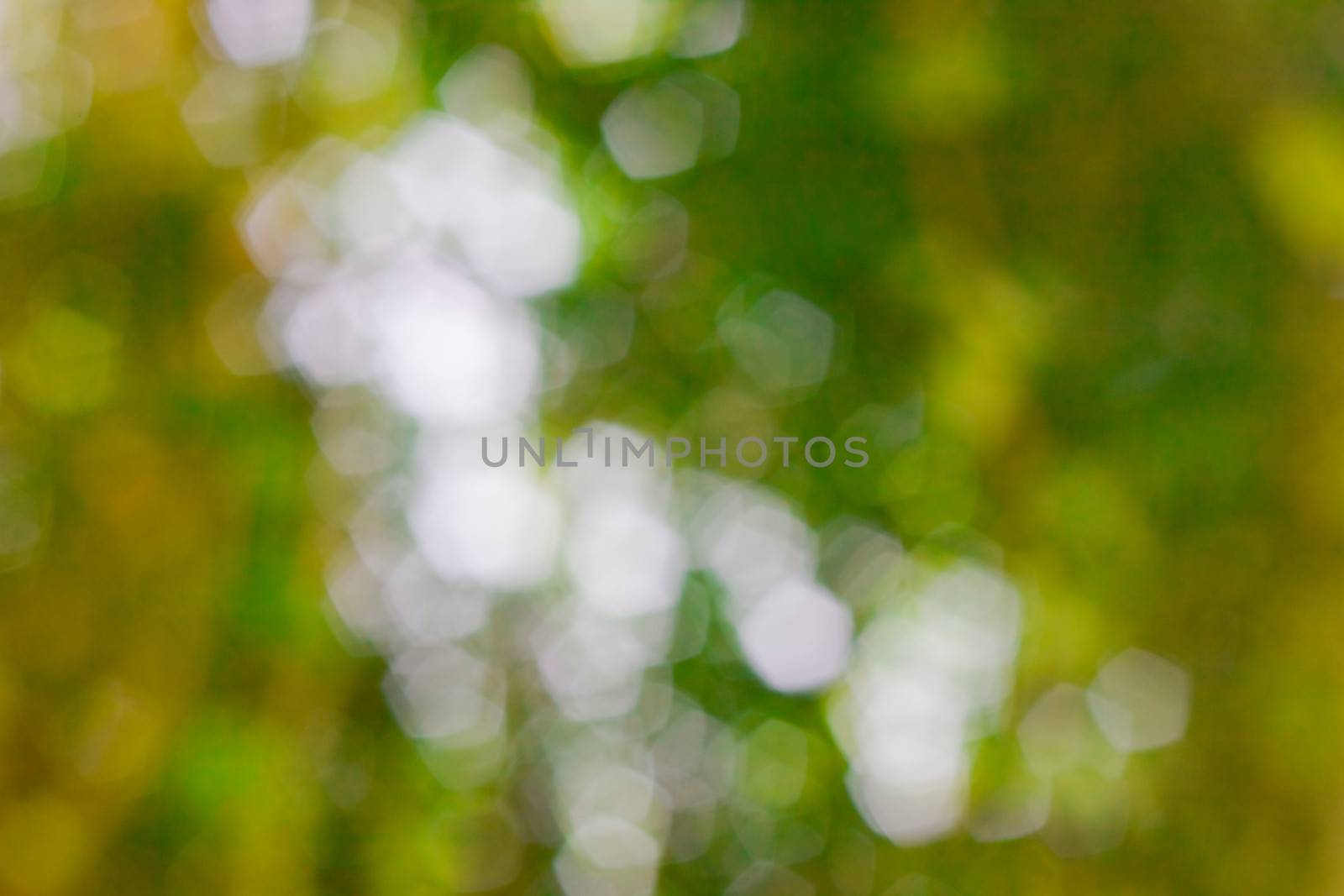 bokeh blurred out of focus background