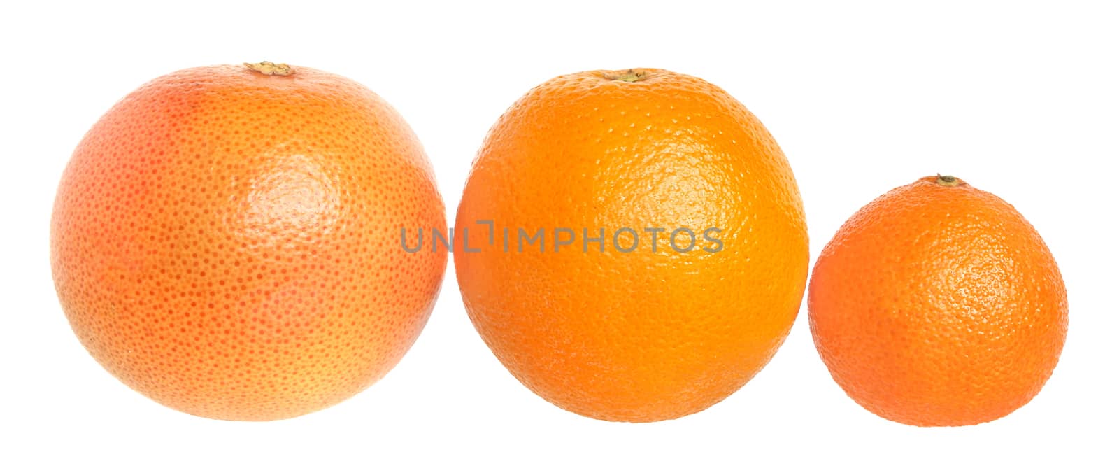 Set of citrus fruit on a white background.