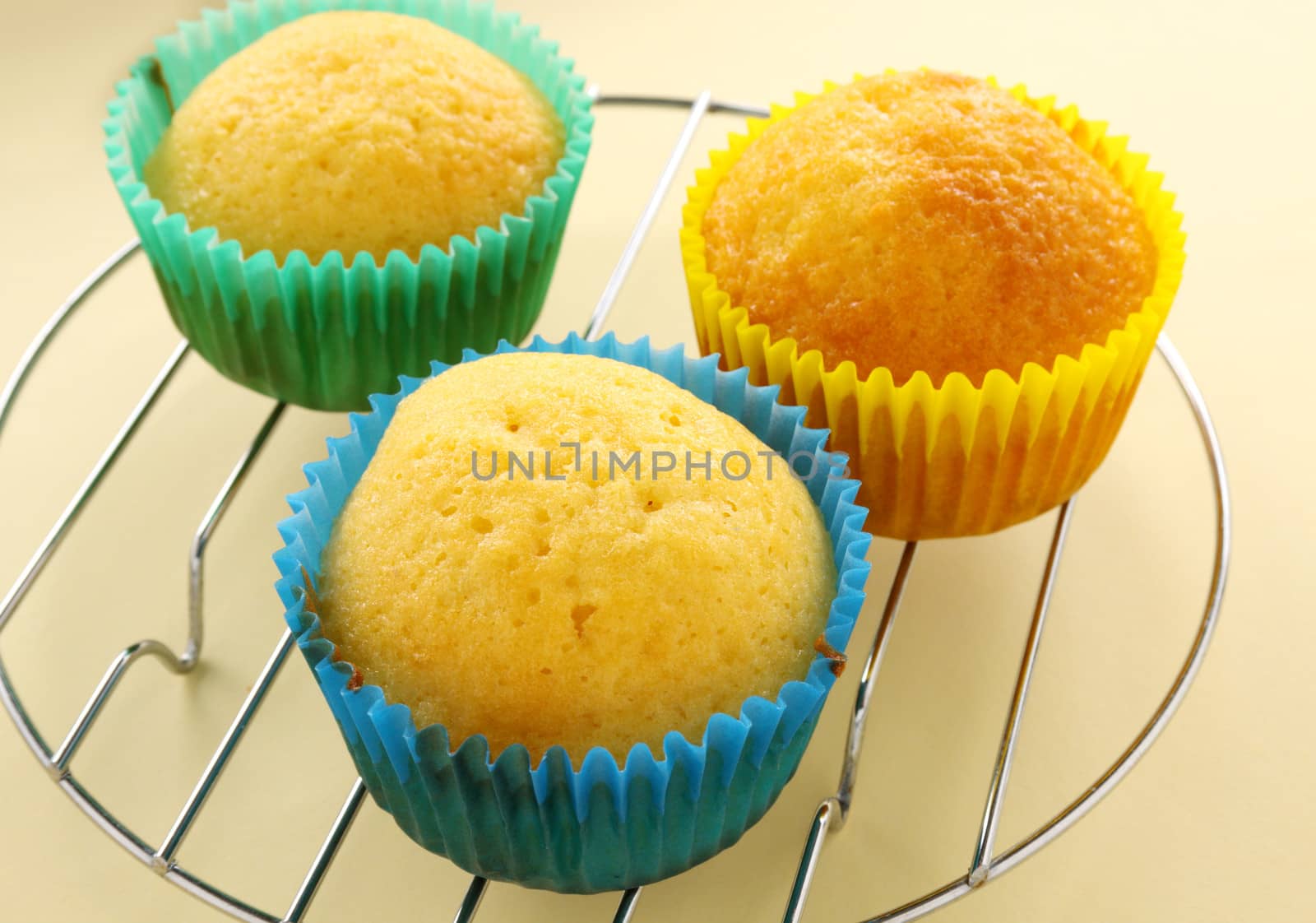 Fresh baked cup cakes straight from the oven.