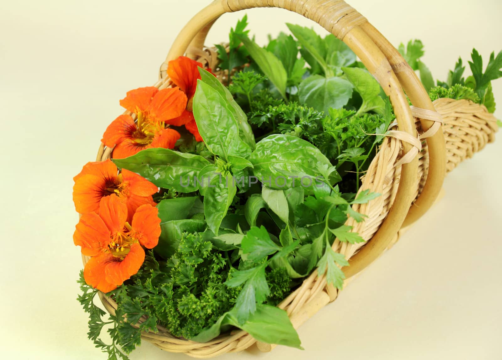 Basket of freshly harvested herbs straight from the herb garden.