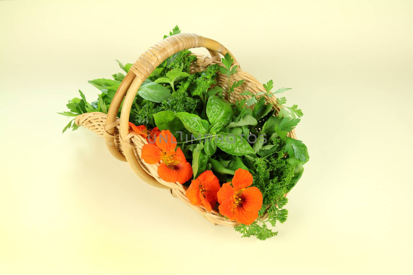 Basket of freshly harvested herbs straight from the herb garden.