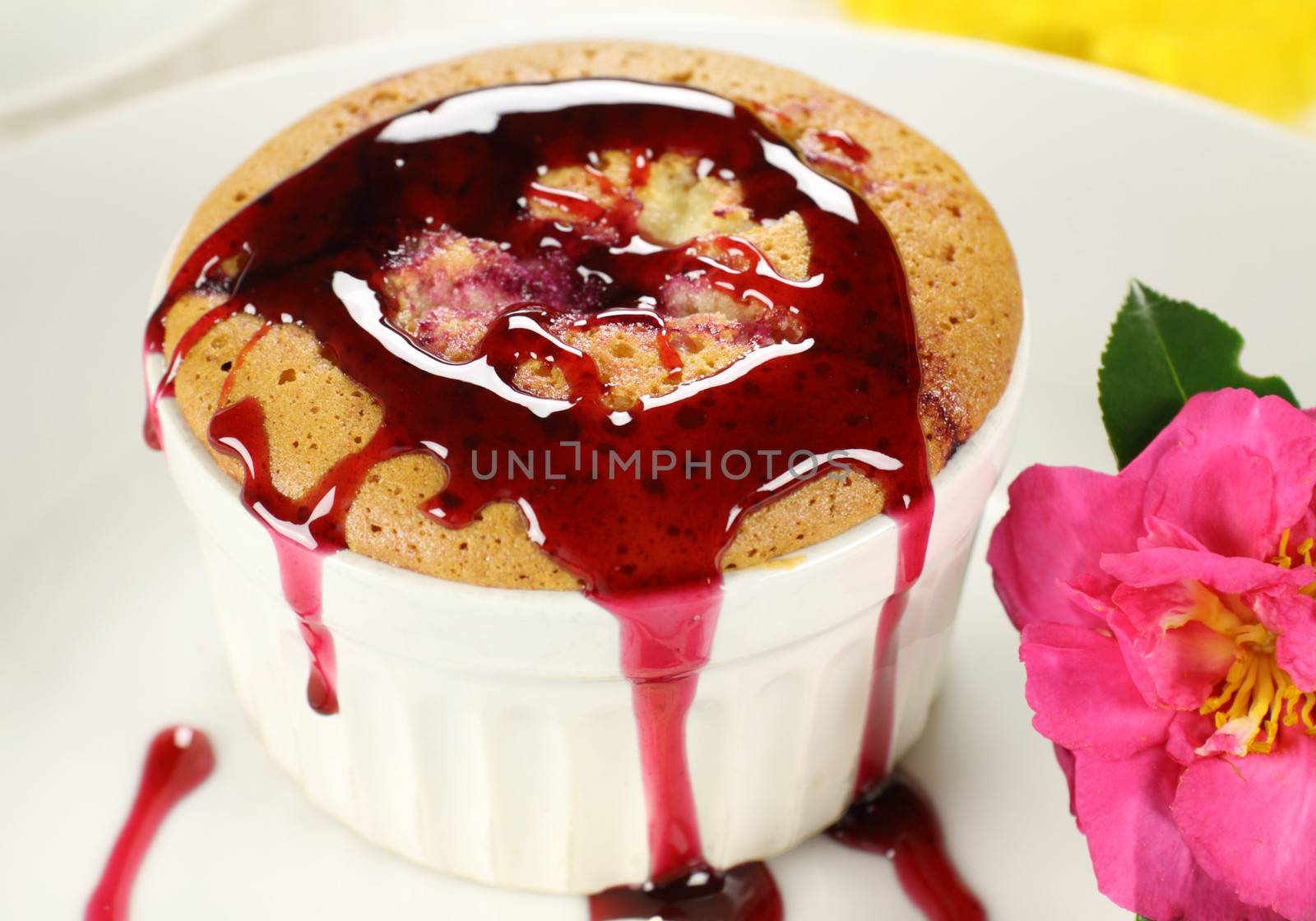 Blackberry Sponge Pudding  by jabiru