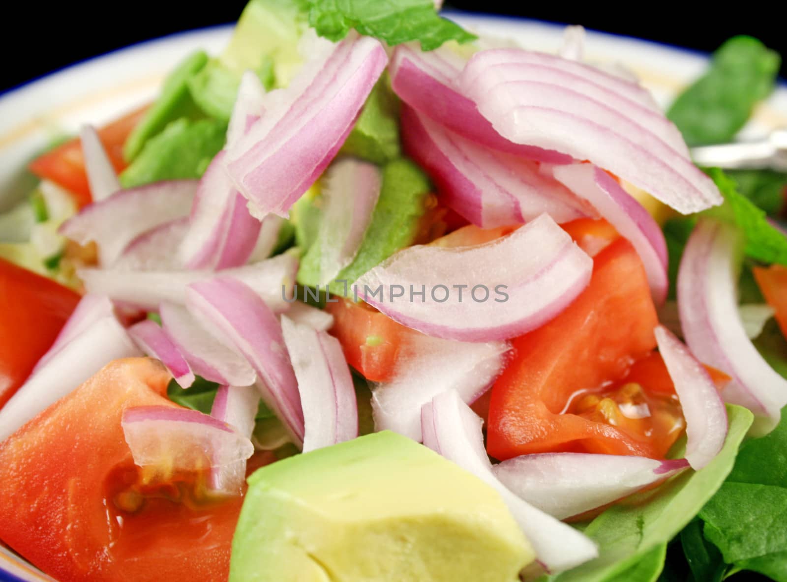 Bowl Of Salad 2 by jabiru