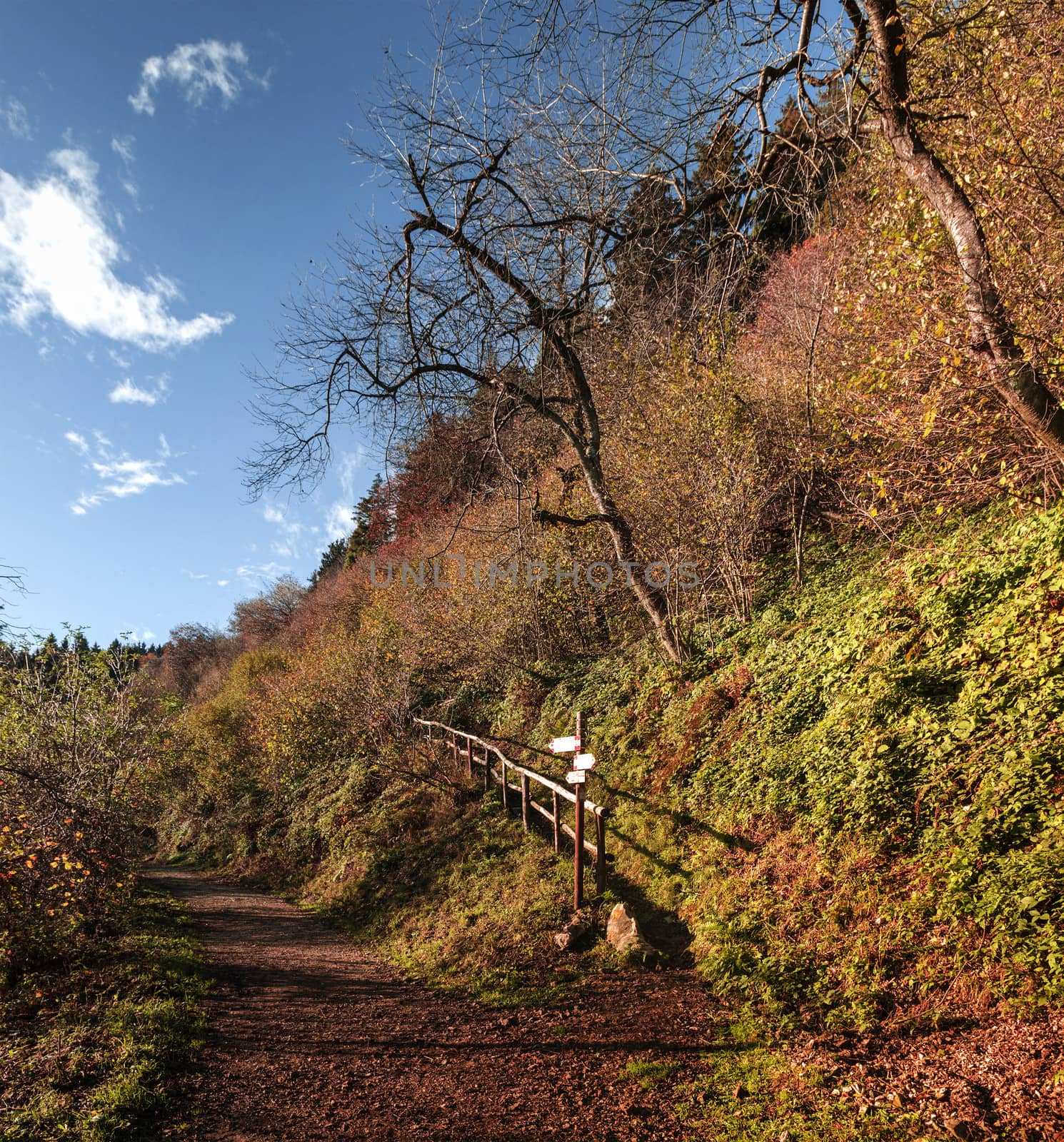 Mountain path in autumn season at sunset, Campo dei Fiori - Varese, Italy