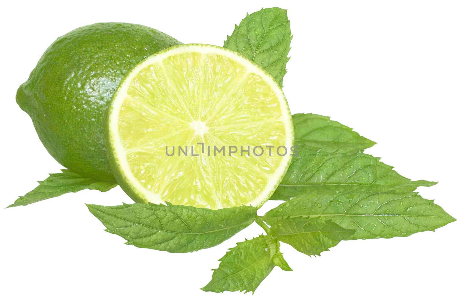 Fresh lime on a white background.