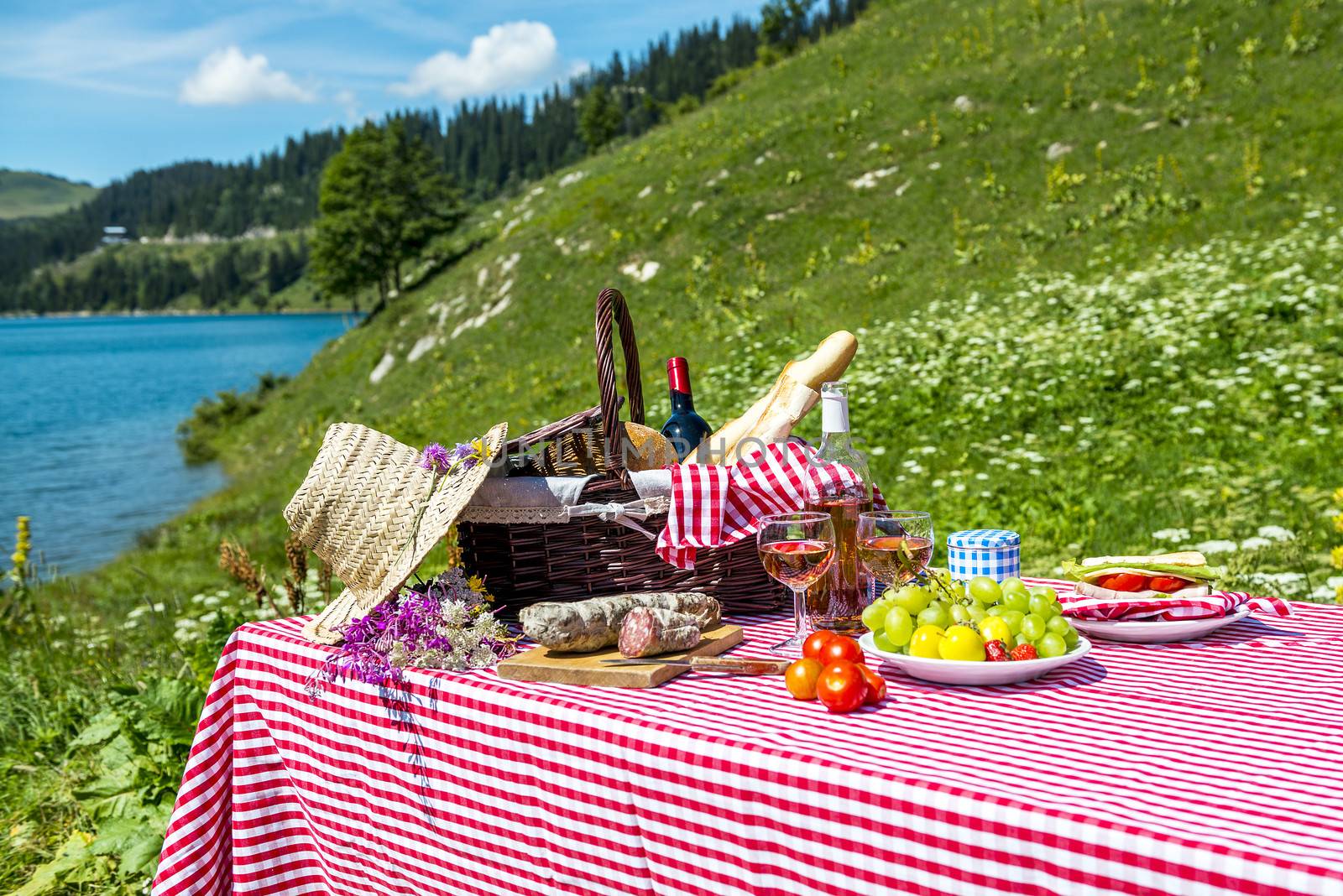 tasted picnic on the grass near a lake