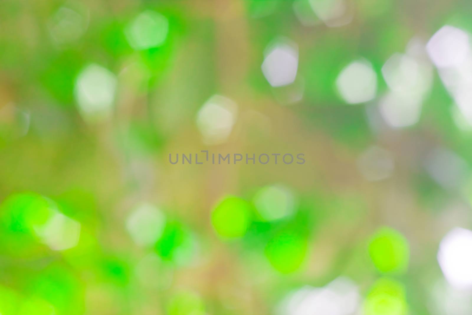 bokeh blurred out of focus background  by nikky1972