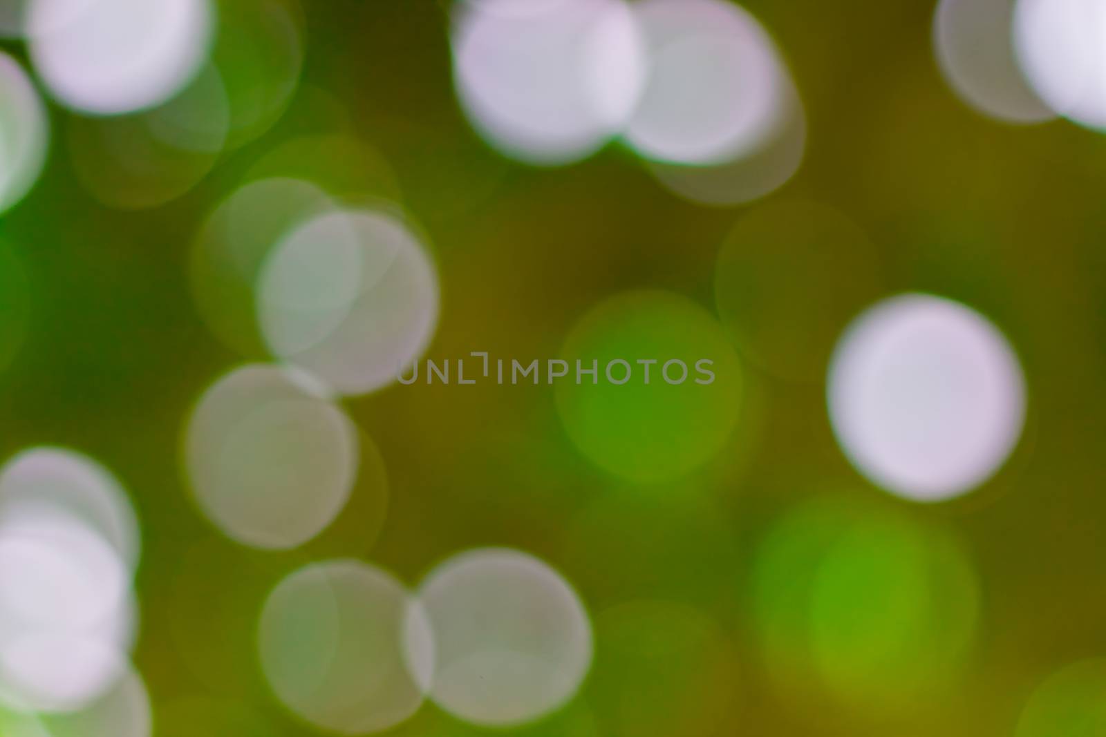 bokeh blurred out of focus background  by nikky1972